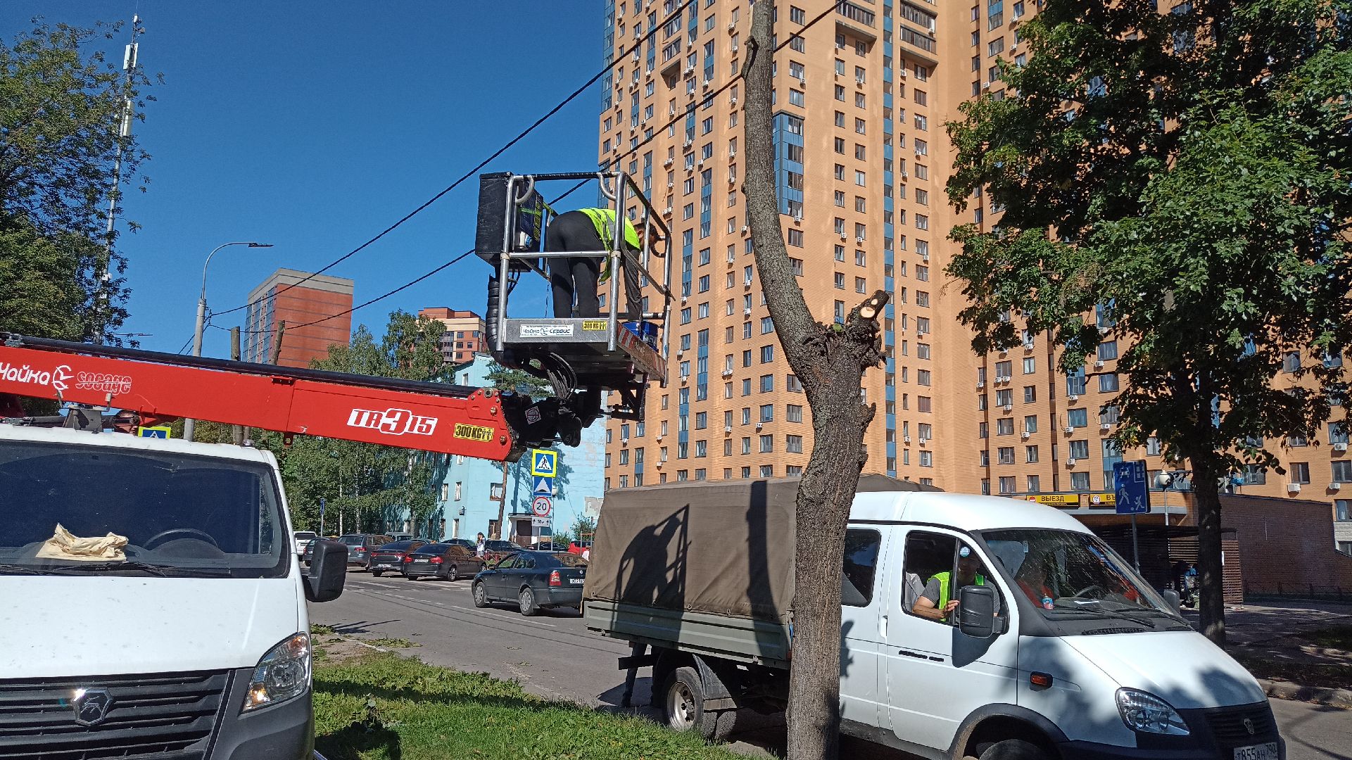 Реут