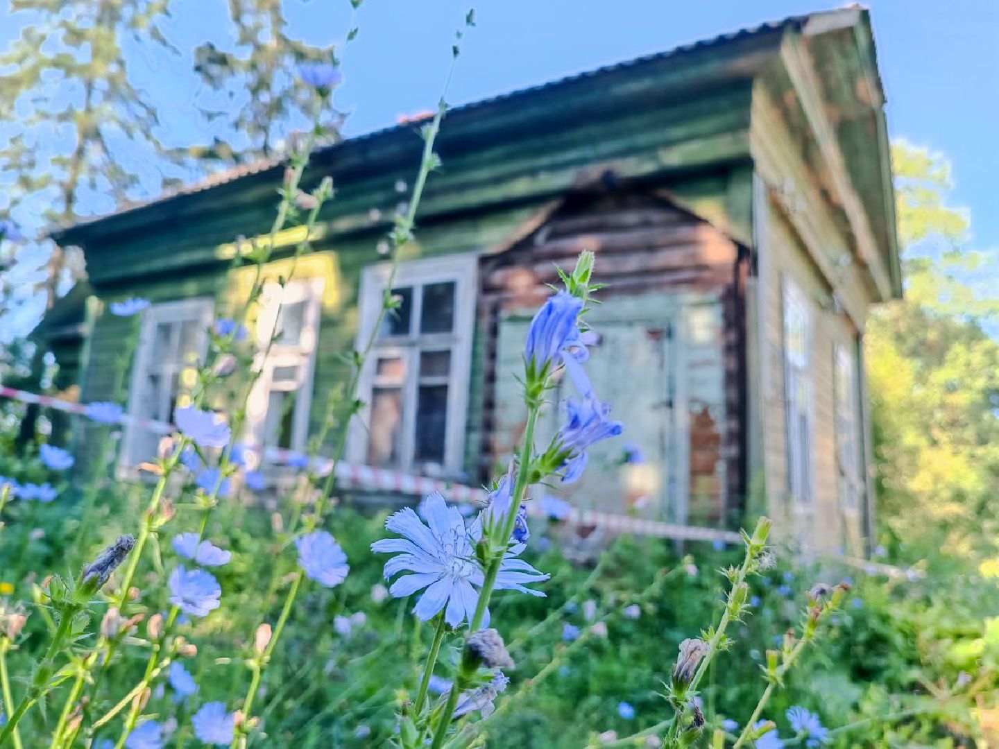 нос
