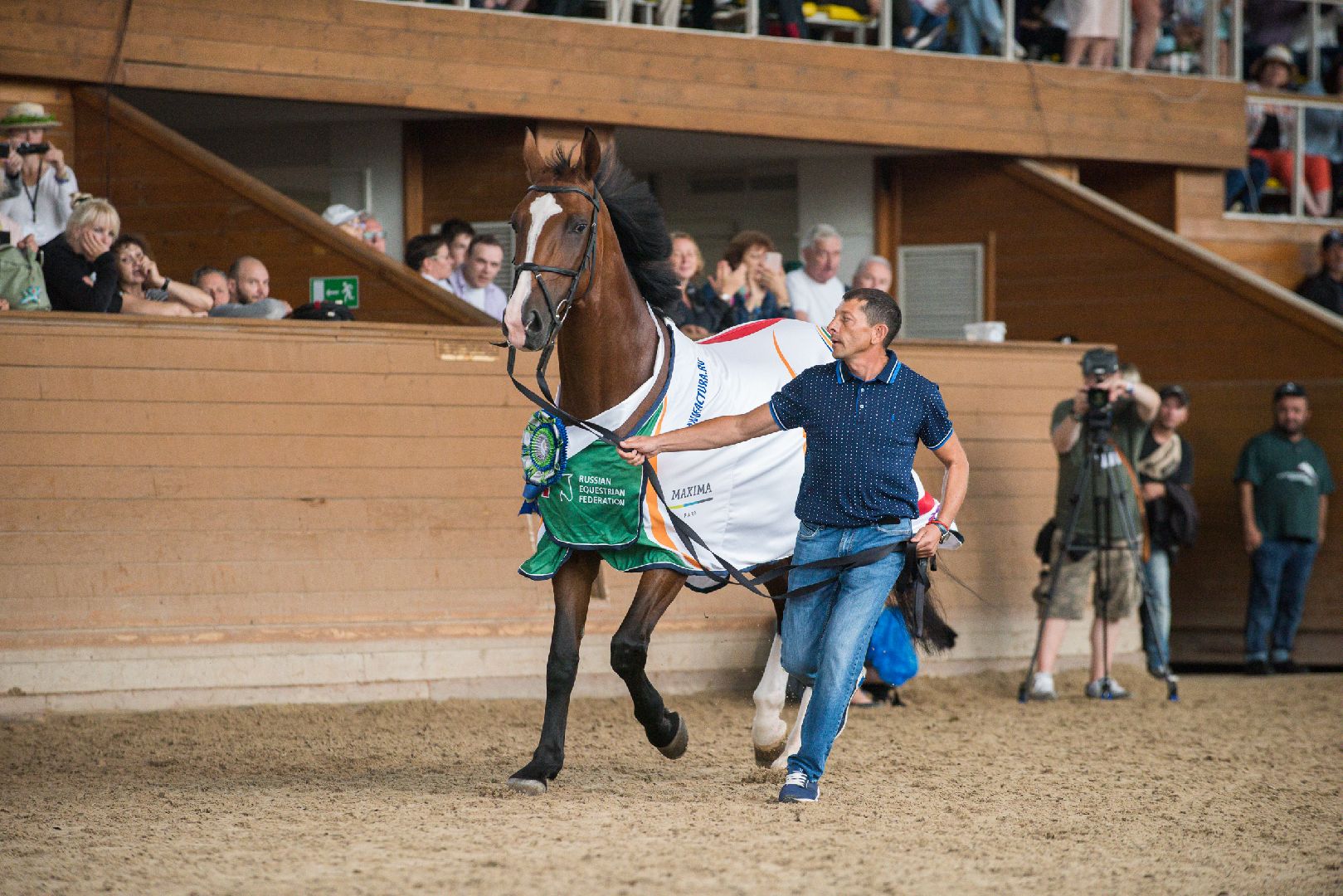 орловские рысаки