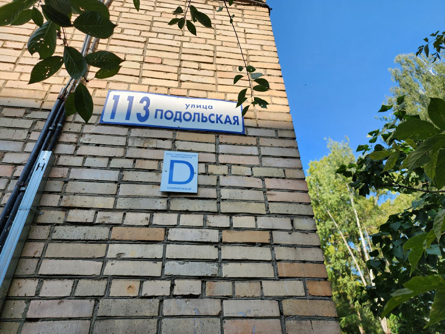 губернатор