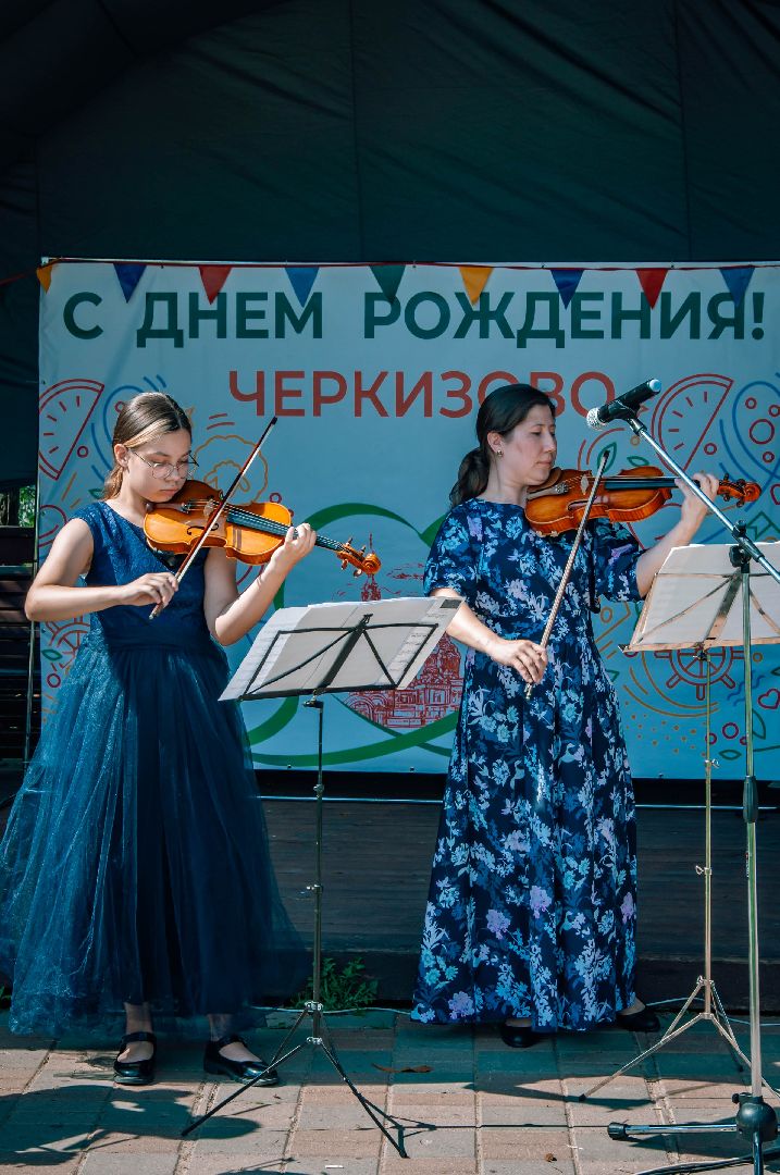 Пушкинский округ