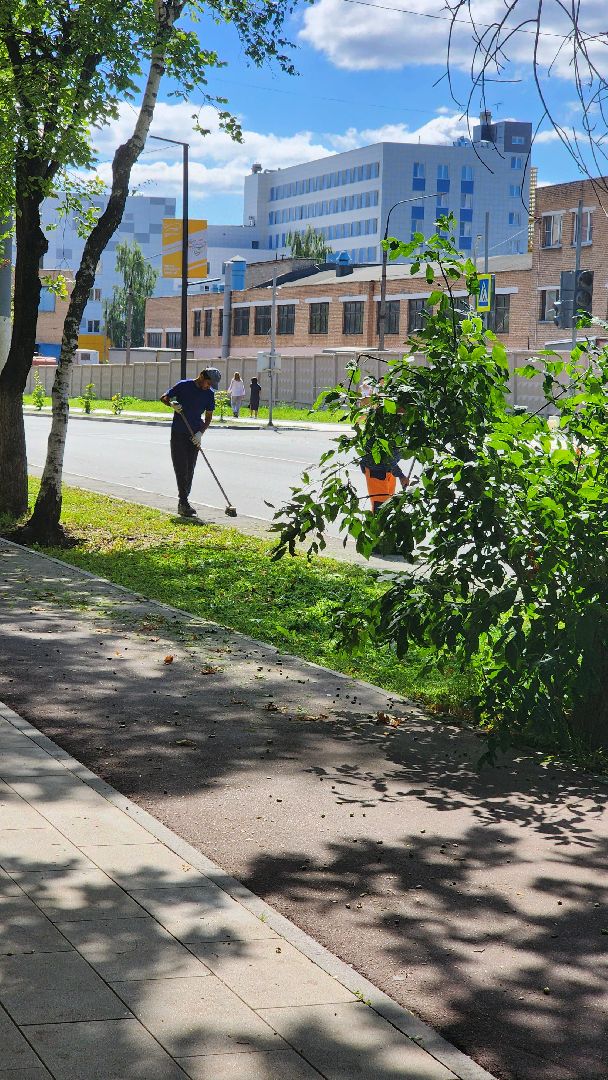 ограждение