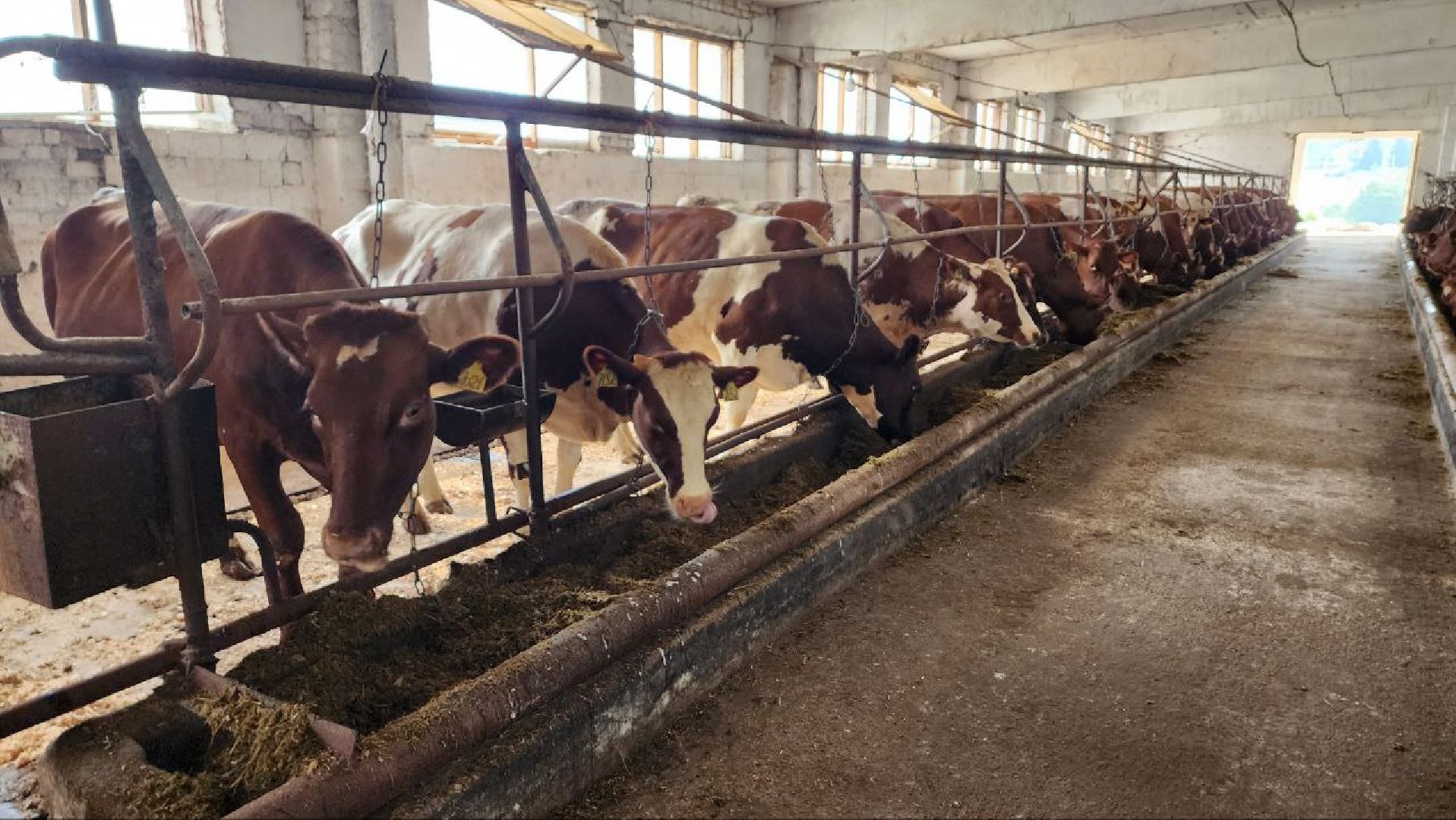 минсельхоз