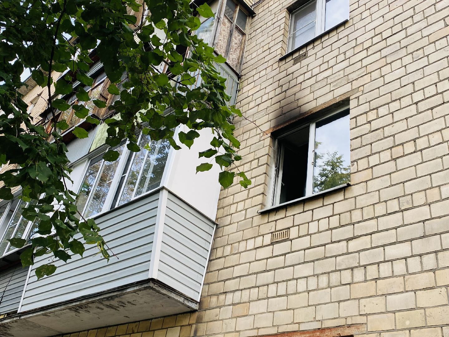 нос