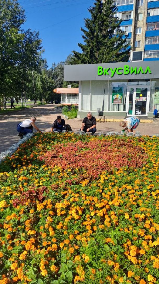 цвет