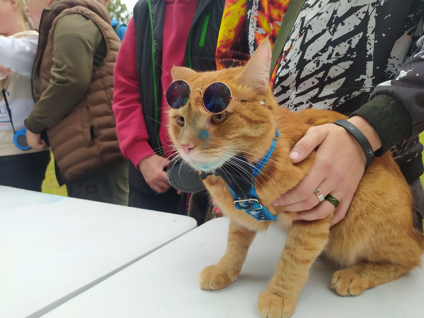 Нахабино