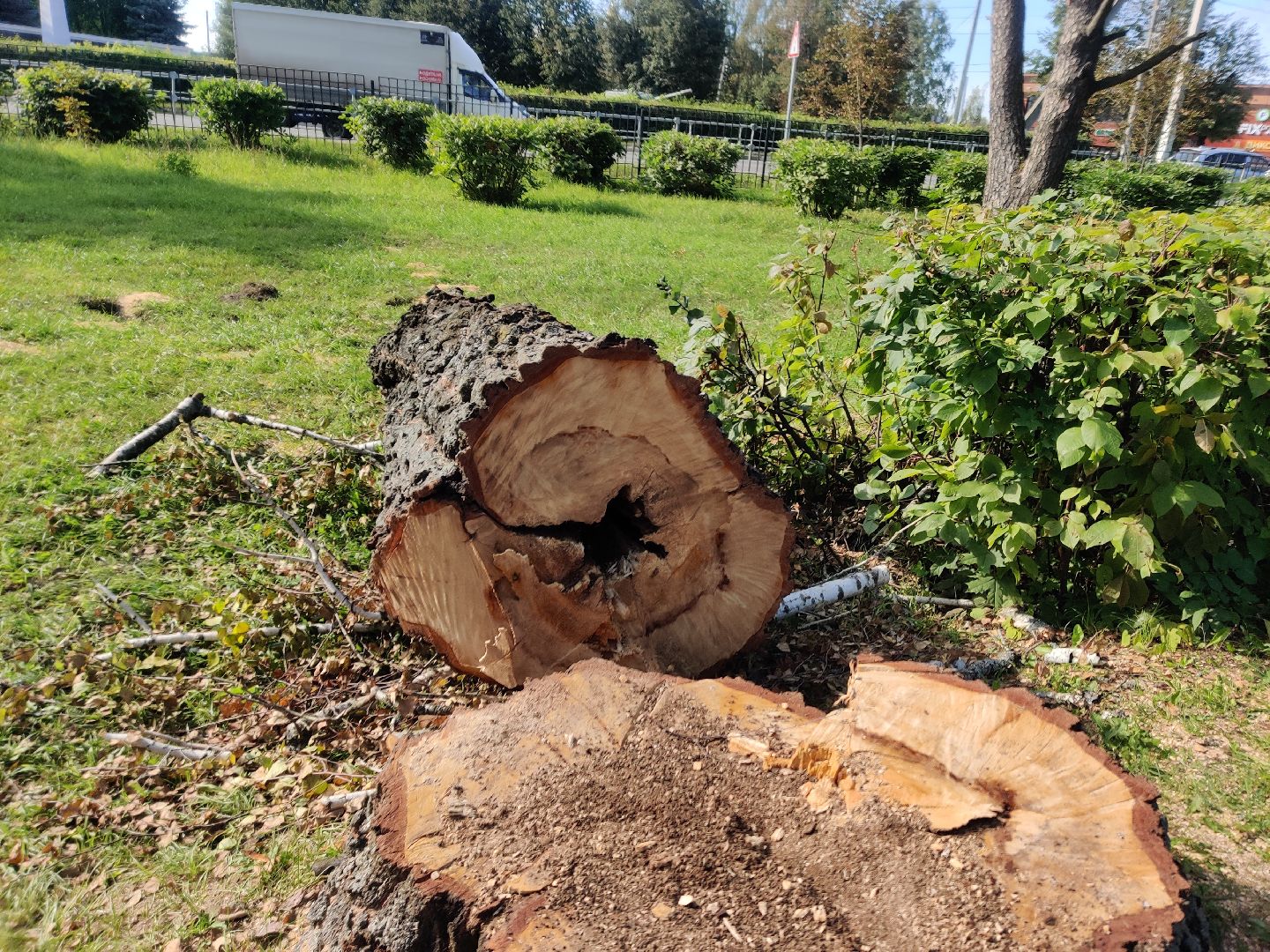 красноармейск