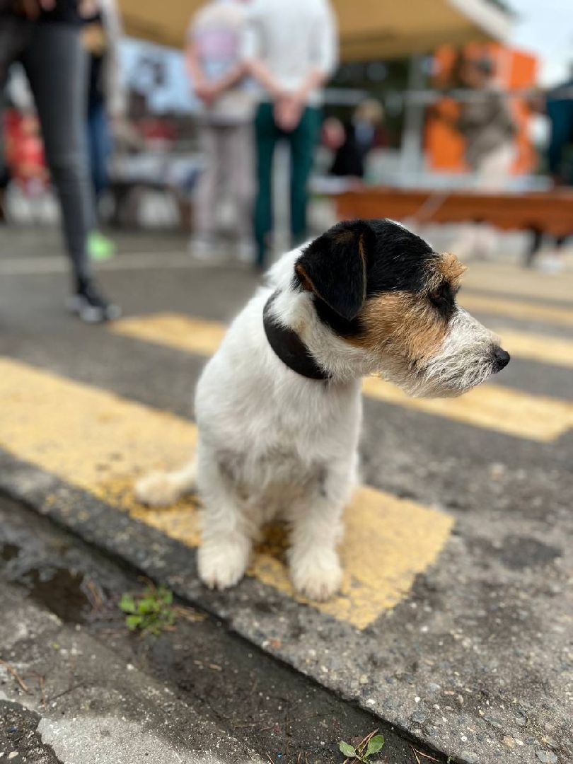 центральный парк