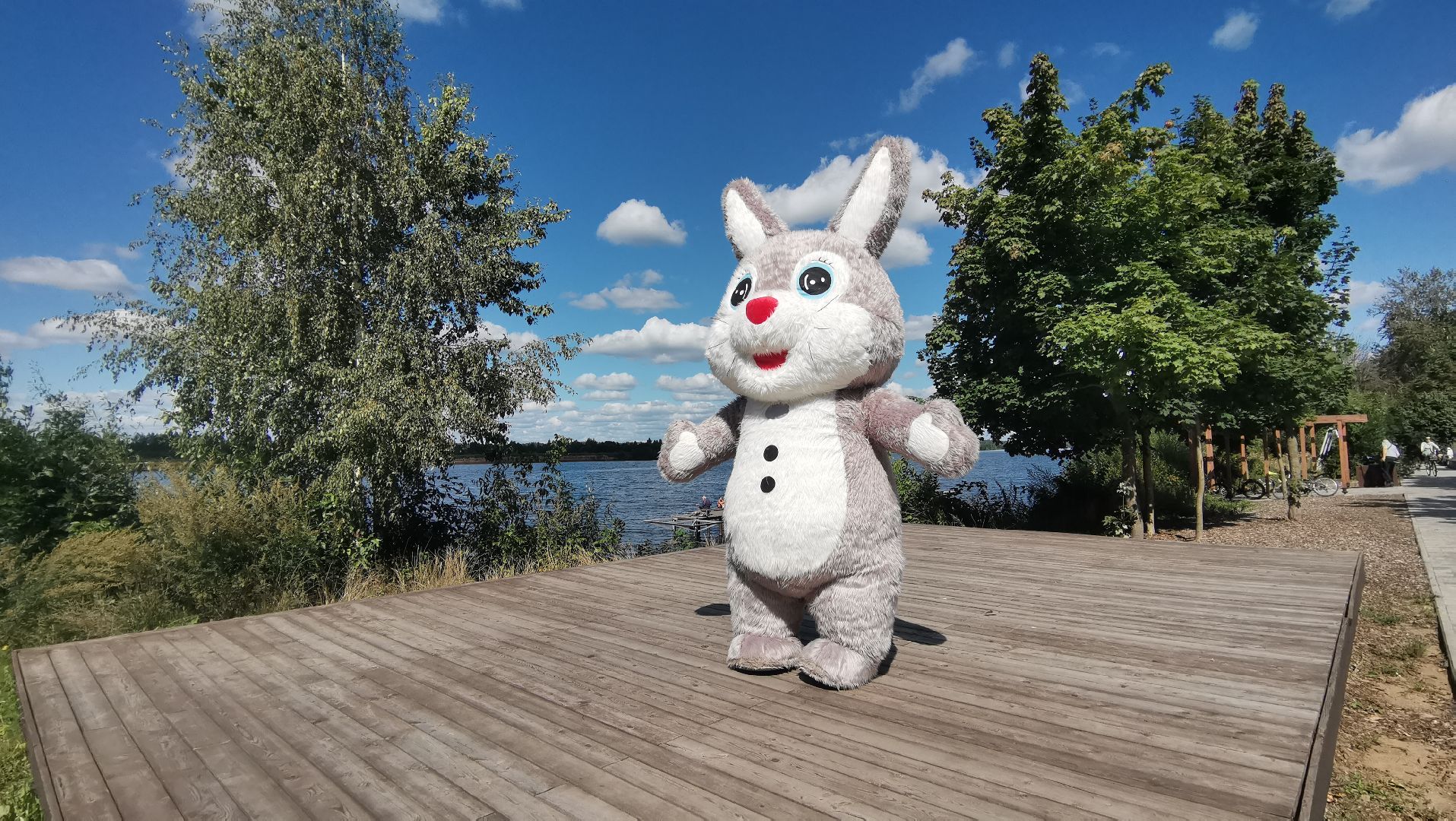 Куклы