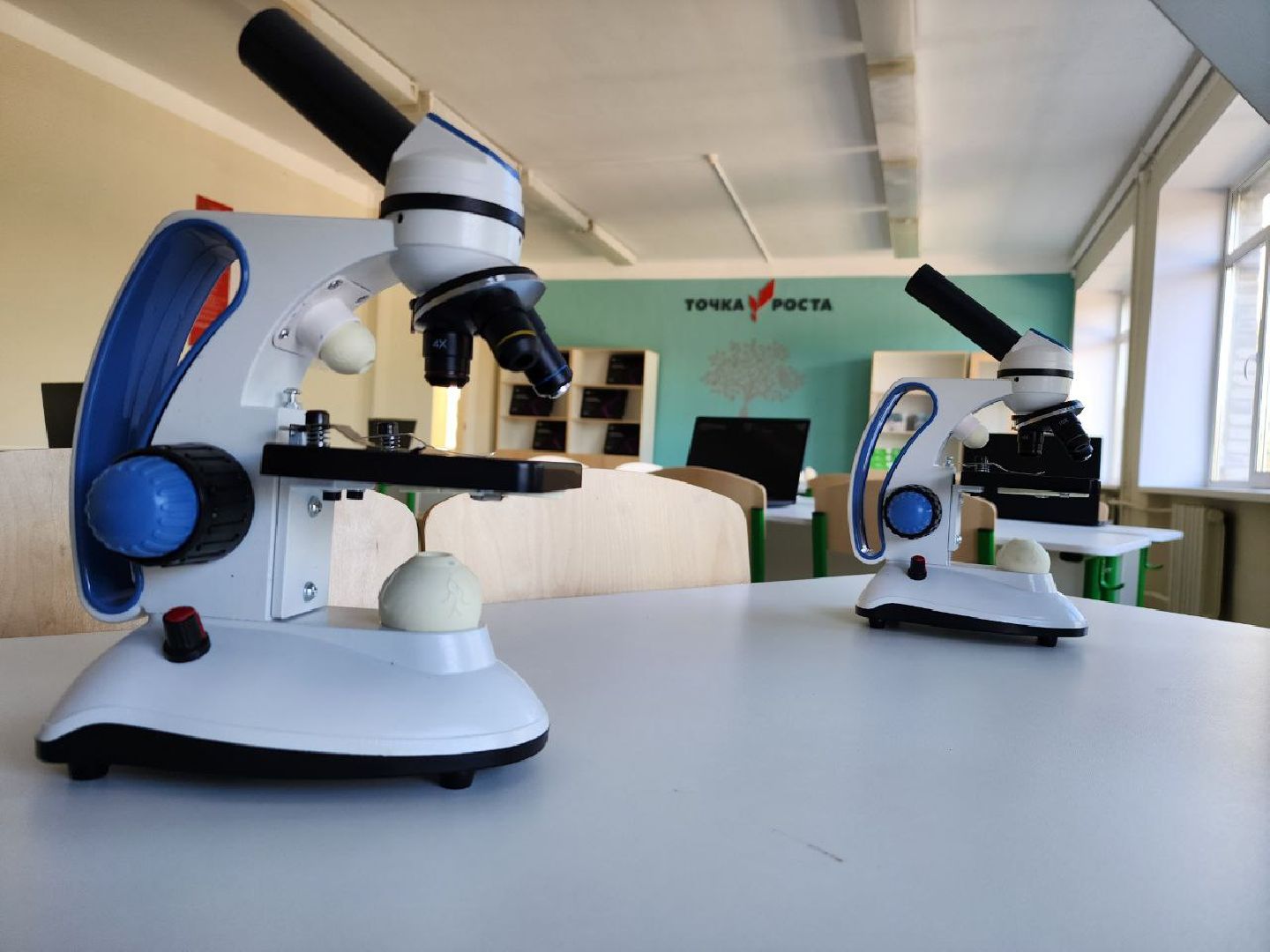 точка роста