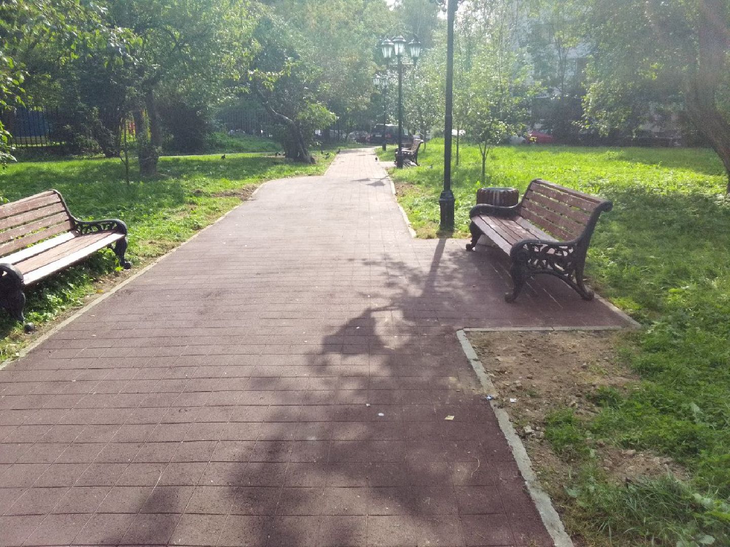 Яблоневый сад