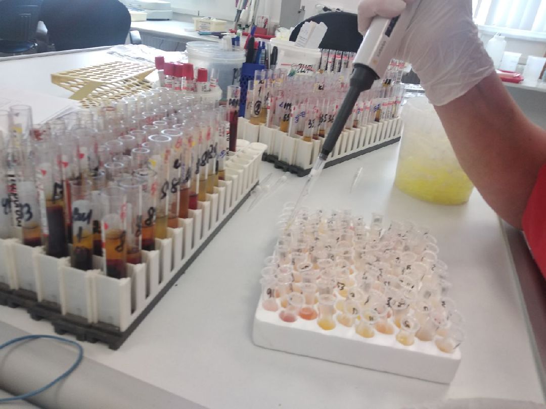 Дмитровская областная больница