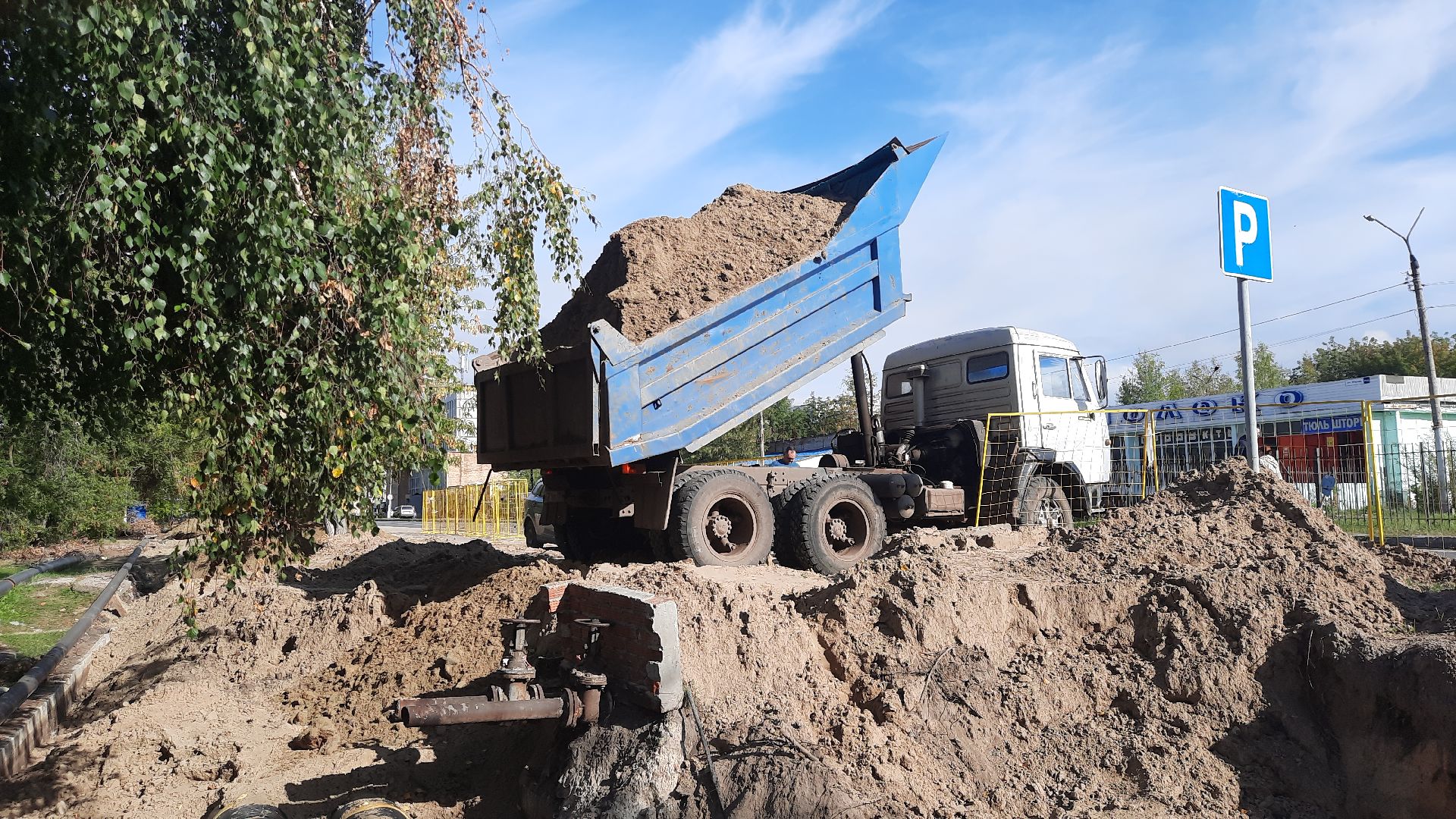 газон