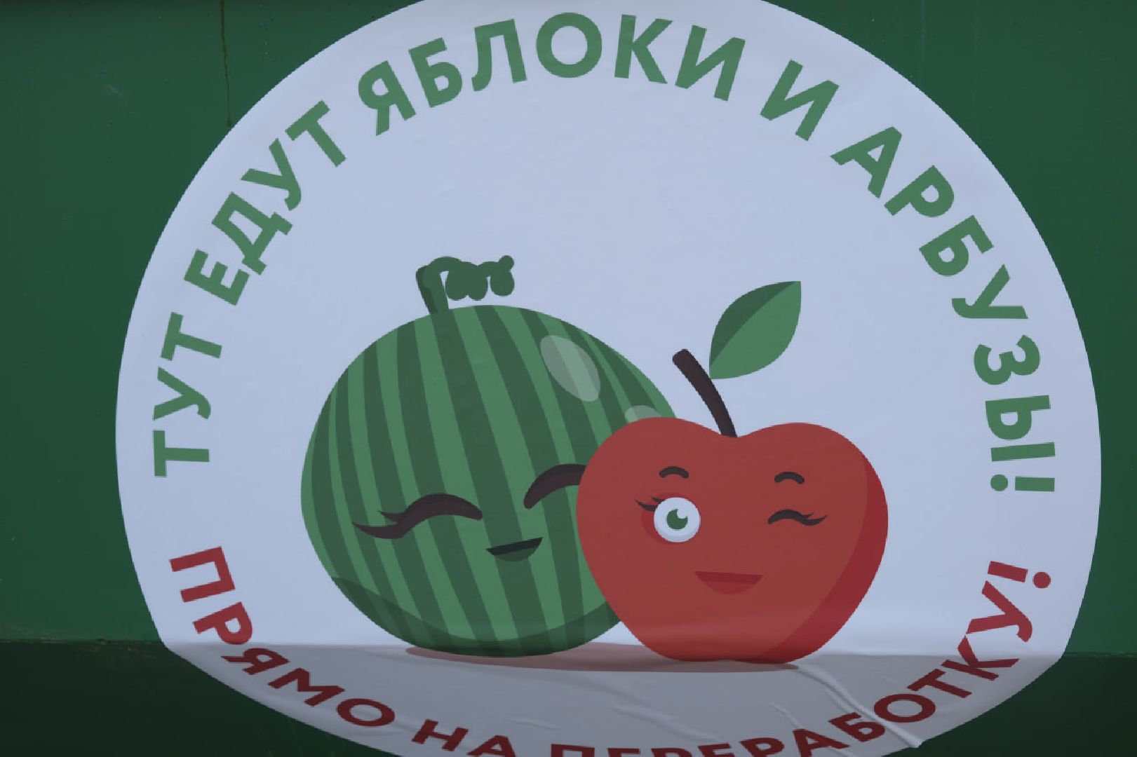 Экология