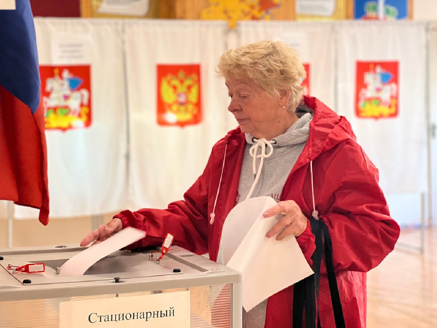 выборы электронное голосование