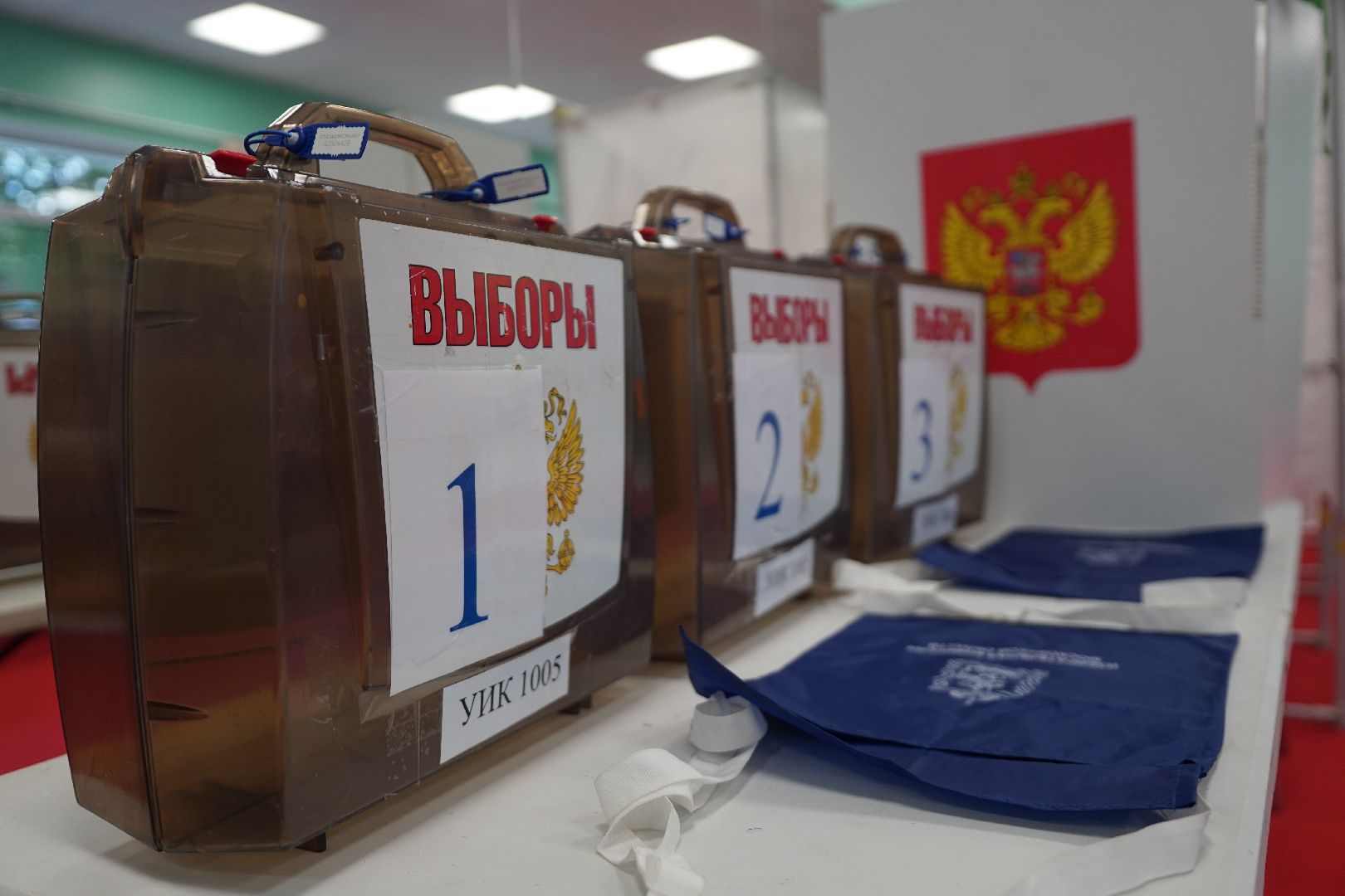 губернатор