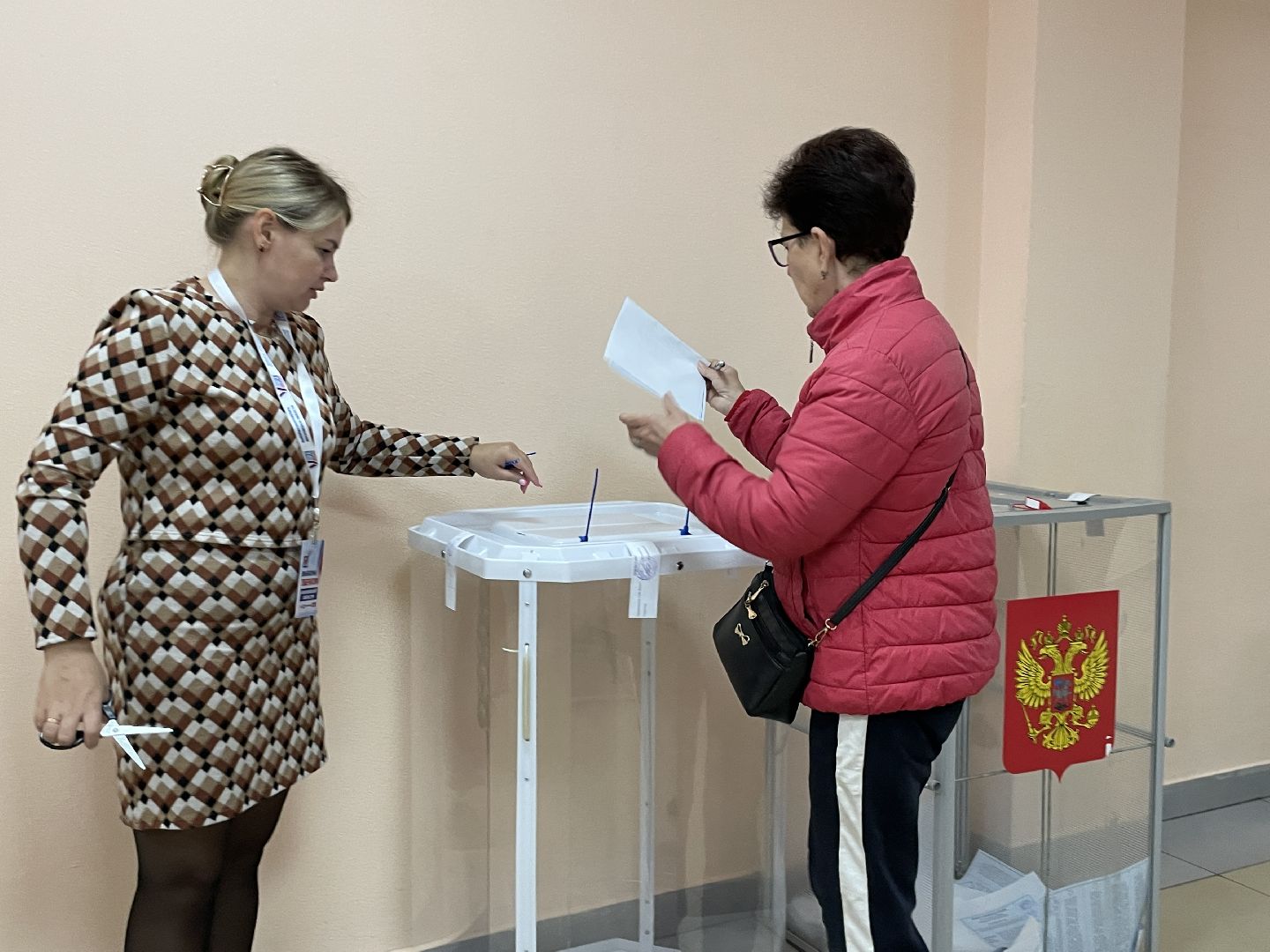 губернатор