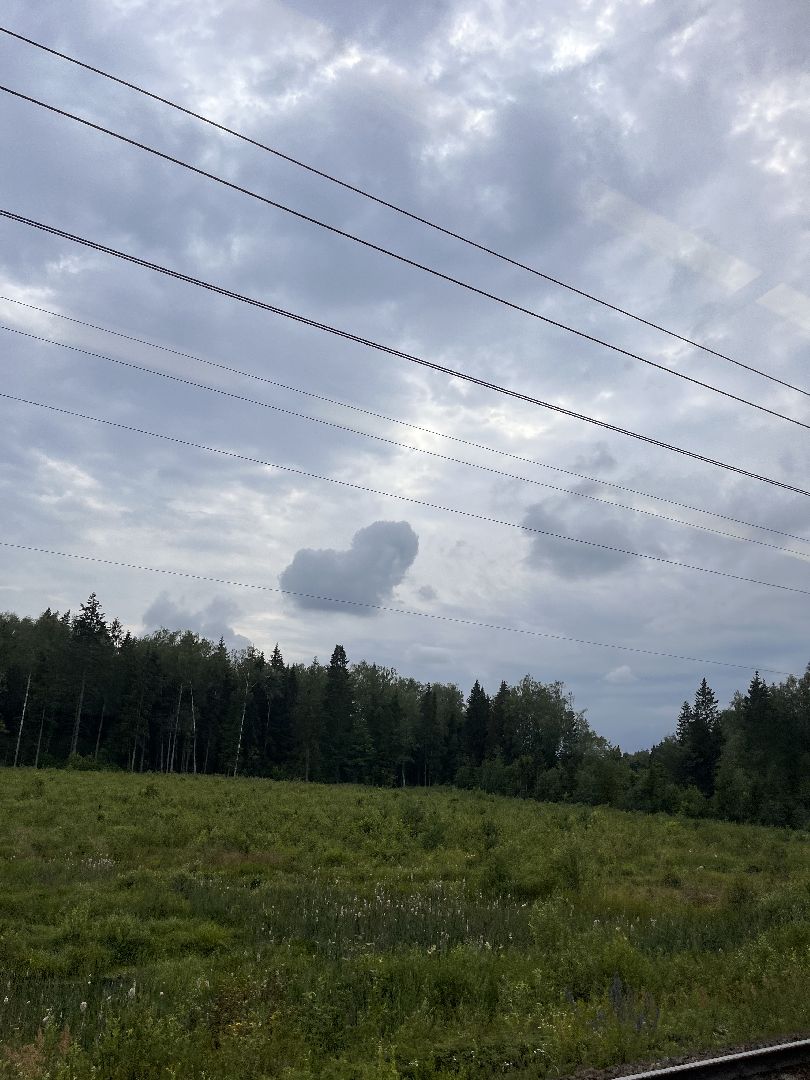 Экология