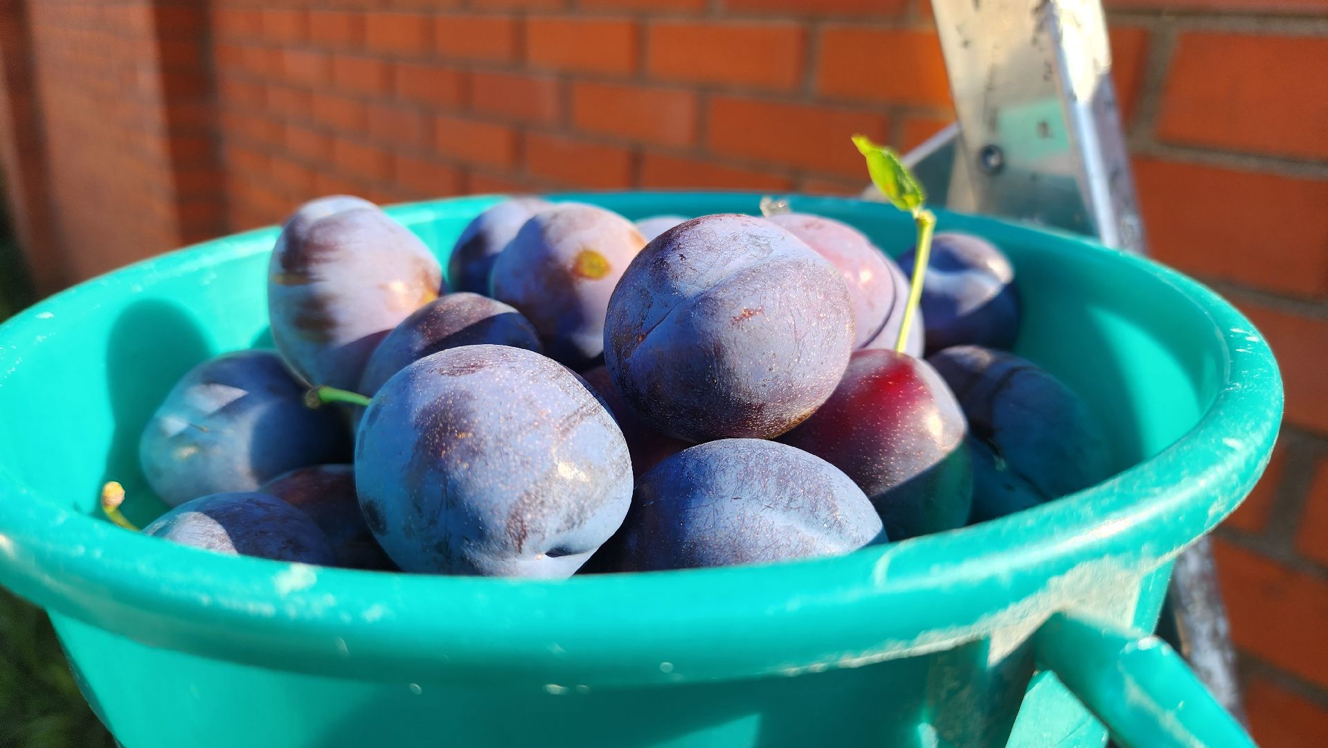 Пушкинский