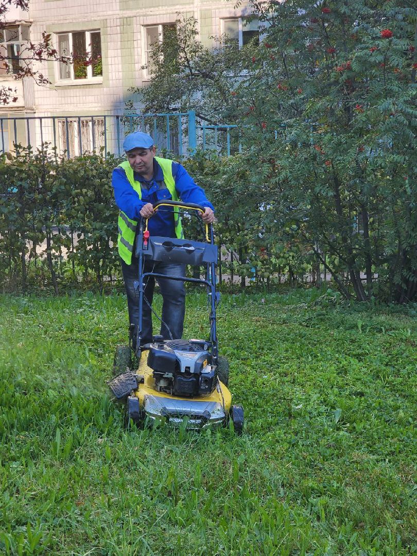 Покос