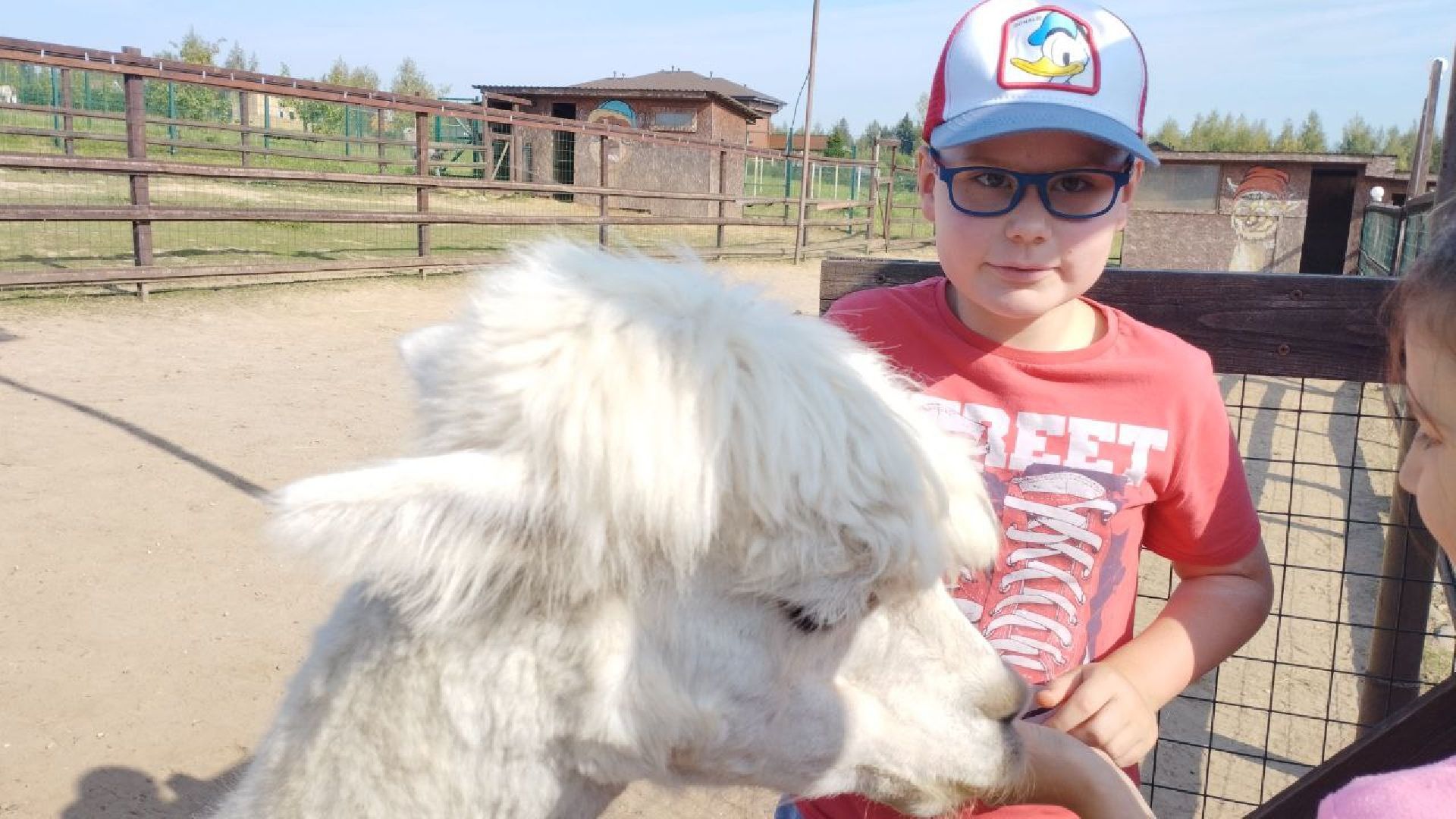 городской округ пушкинский