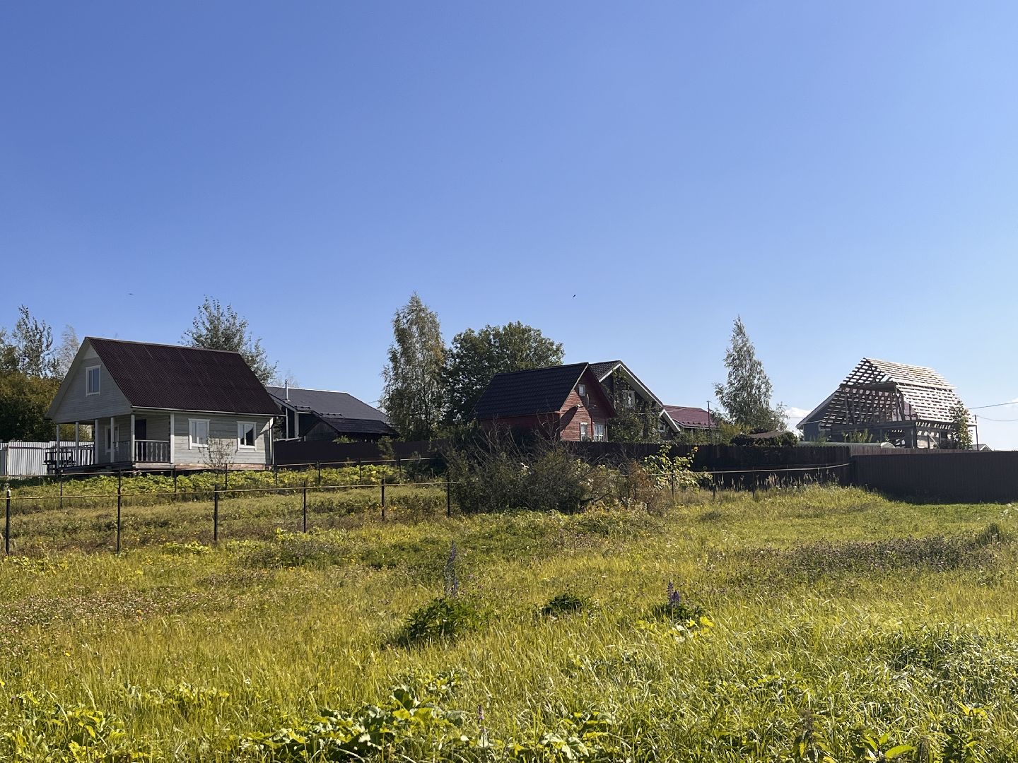 Губернатор