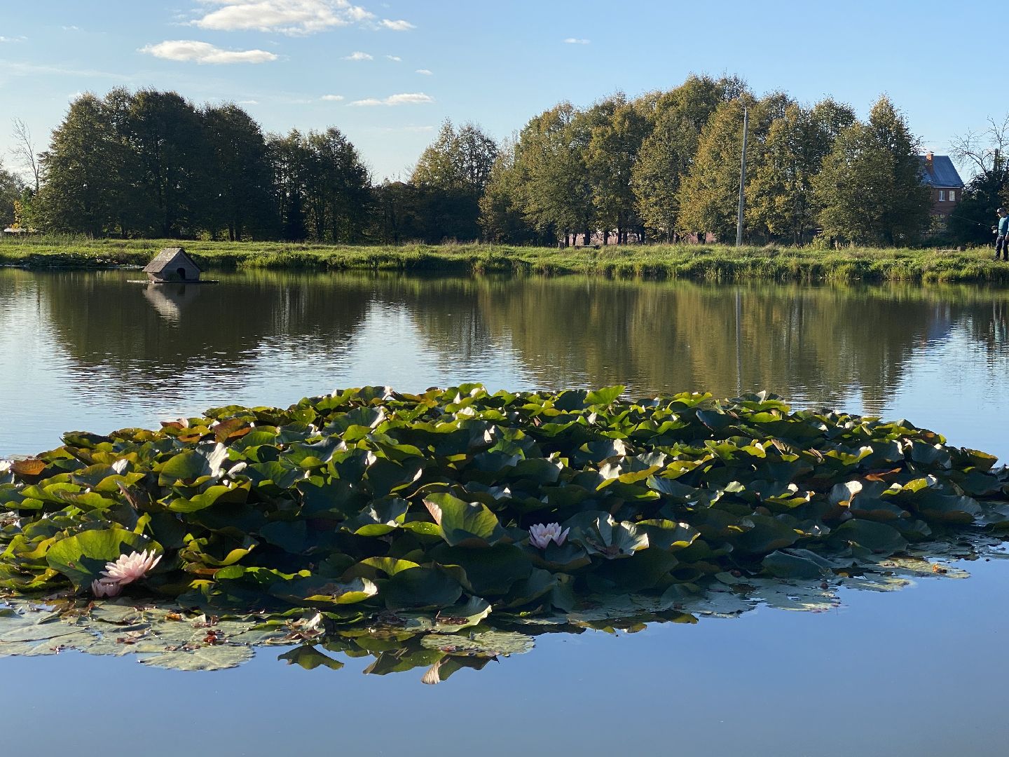 благоуйстройство