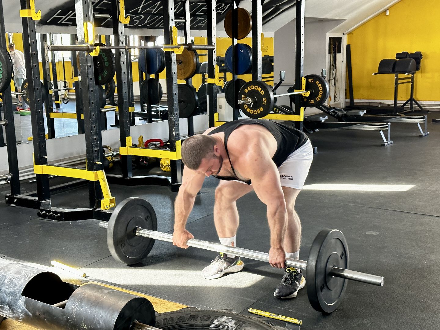 Спорт