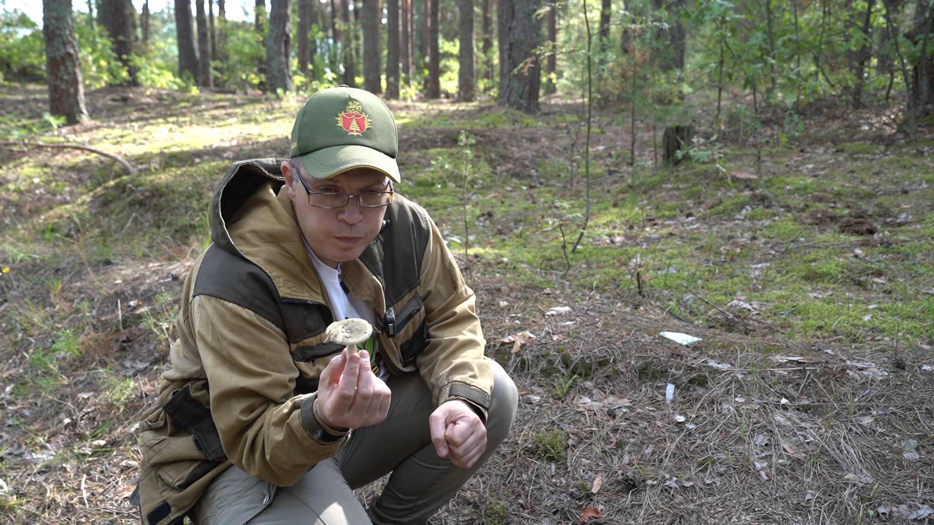 Грибной сезон