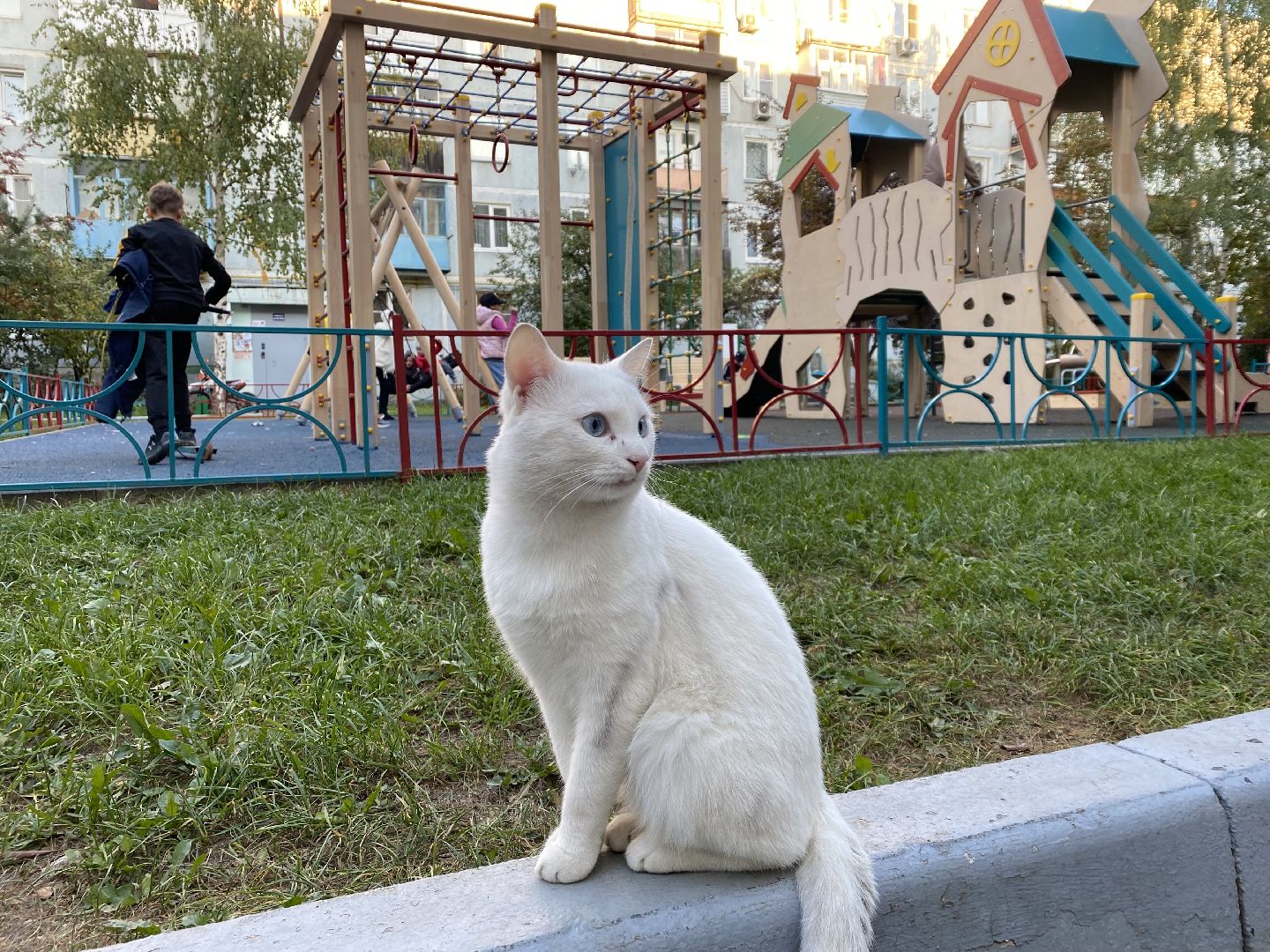 детская игровая площадка