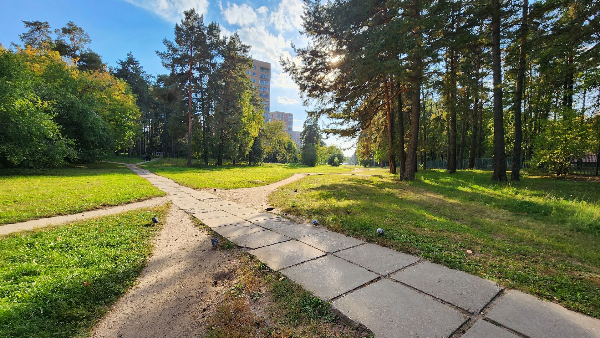 Клещи