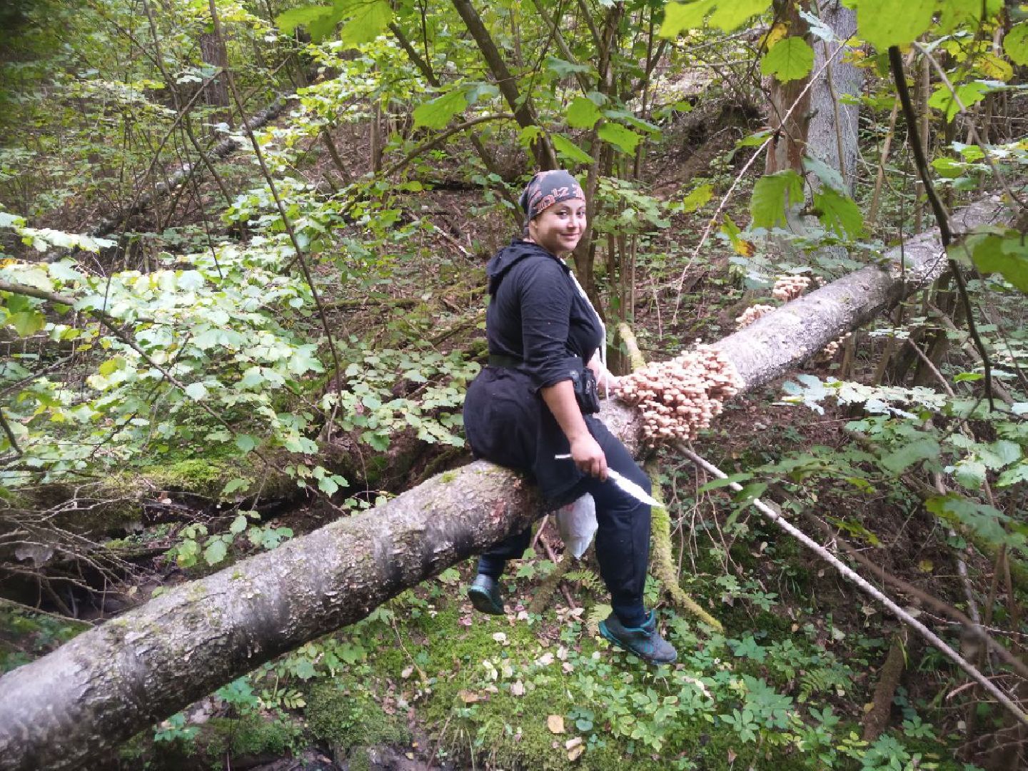 Грибной сезон