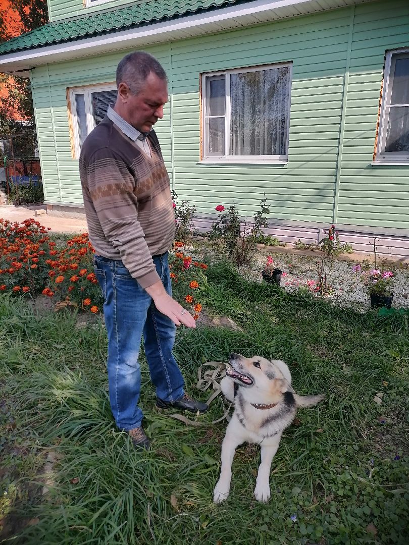 регистрация