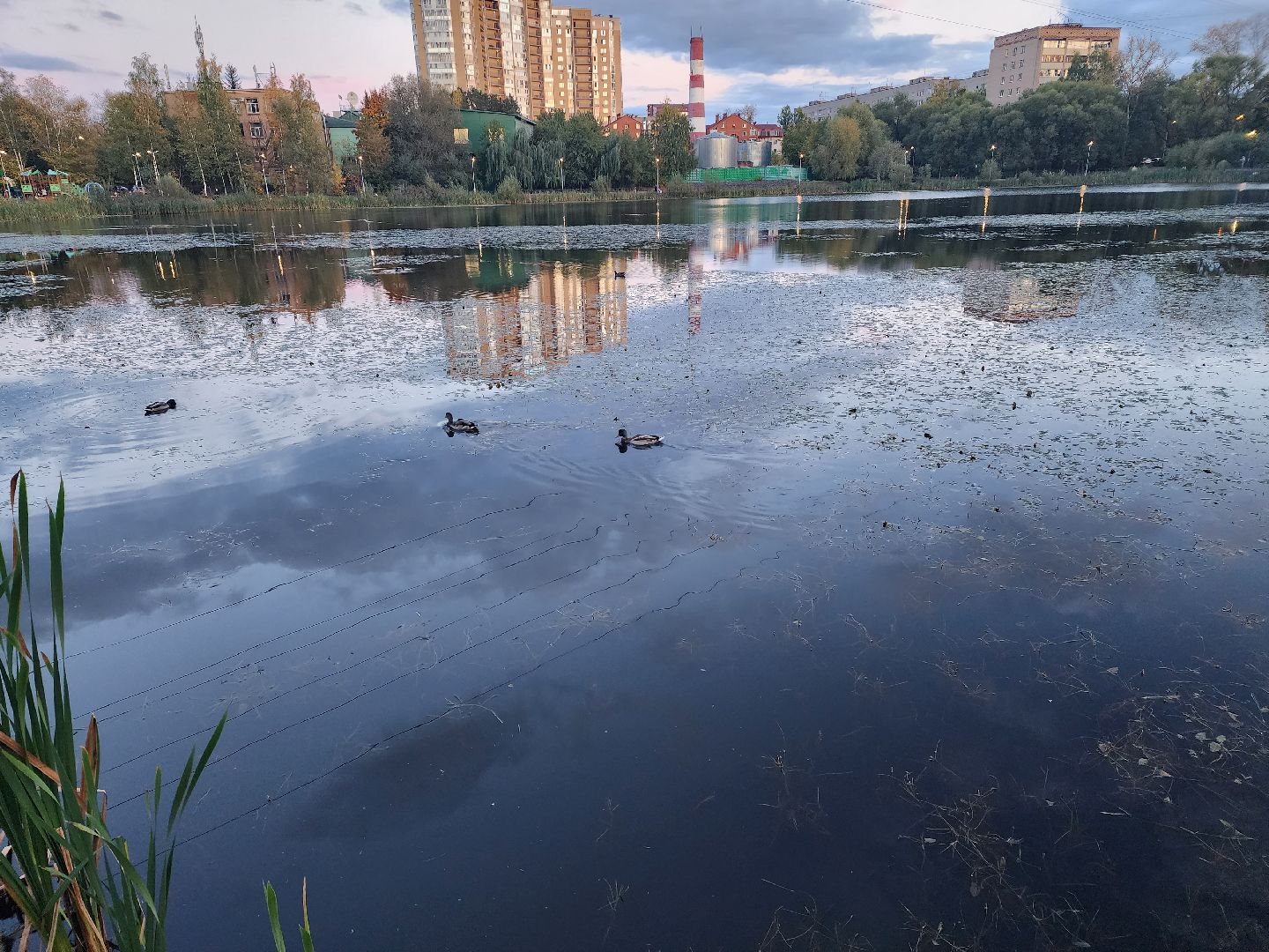 Пушкинский