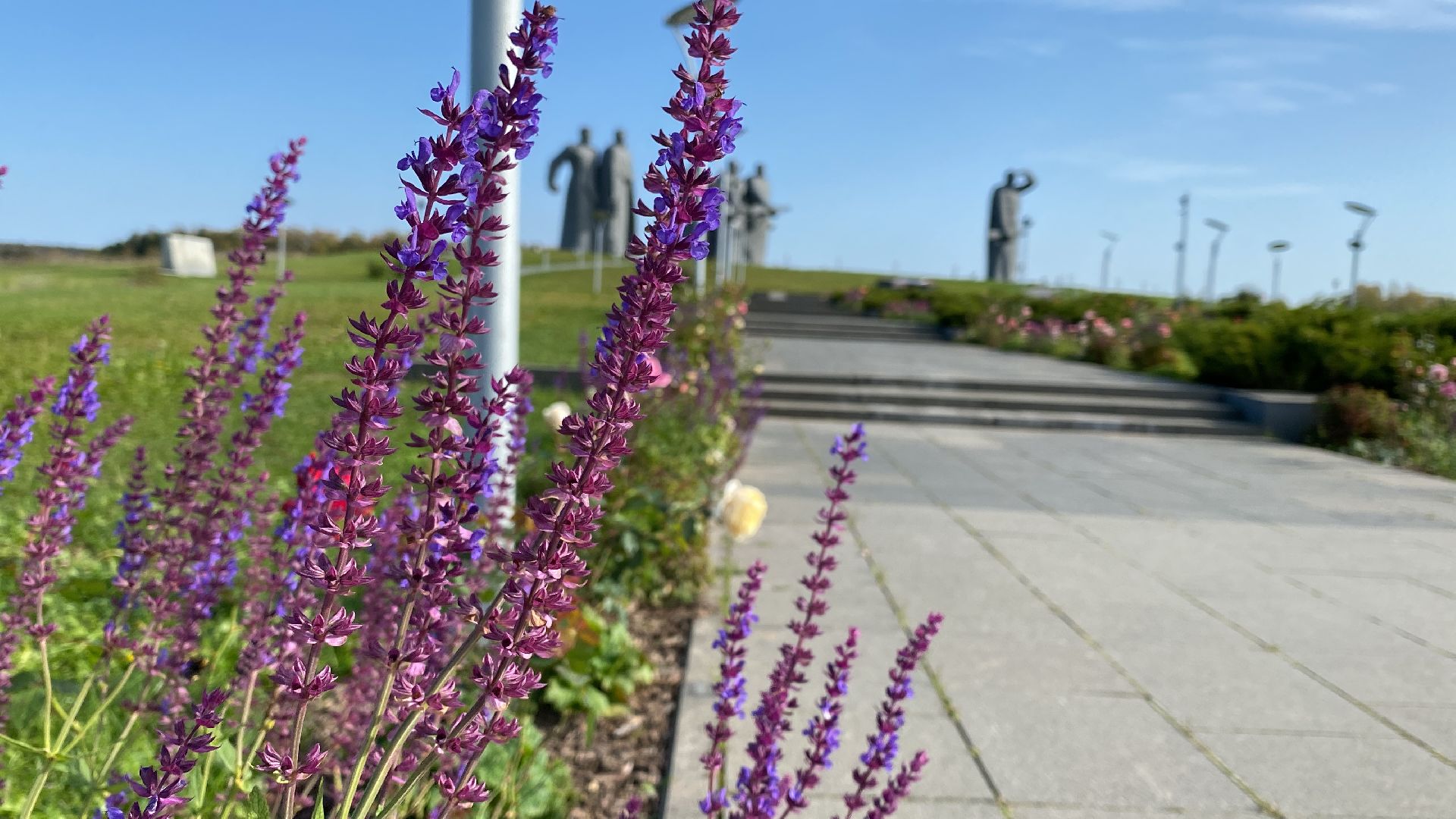 озеленение