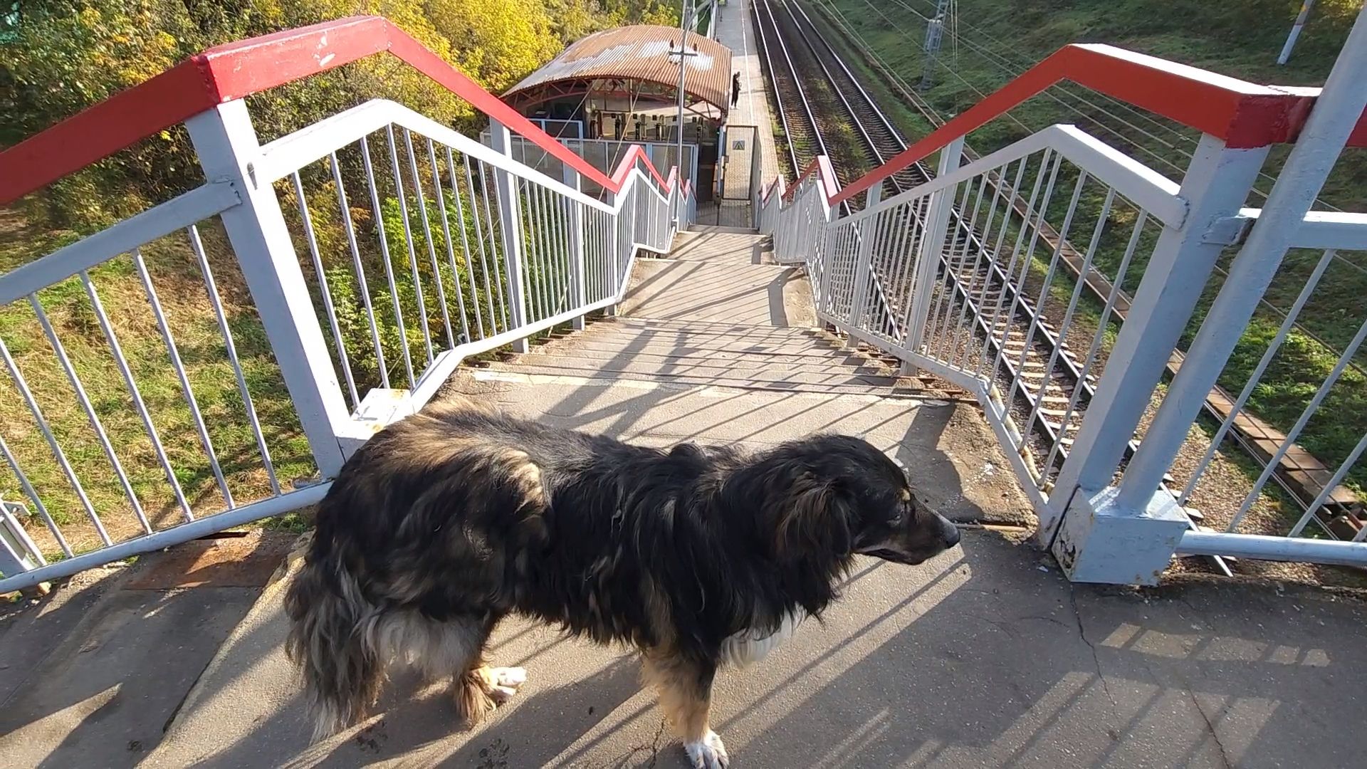 Одинцово