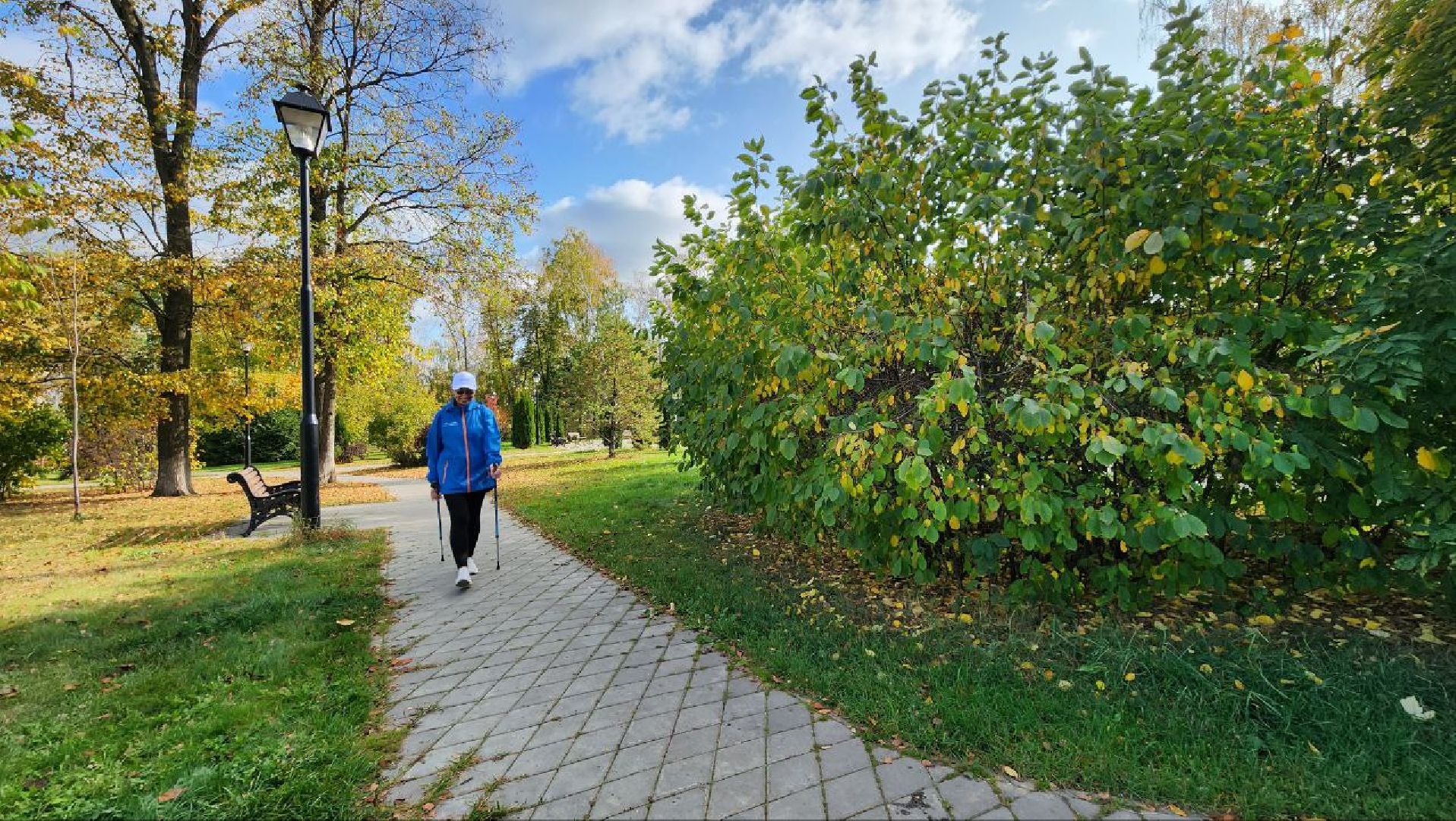 пенсионеры