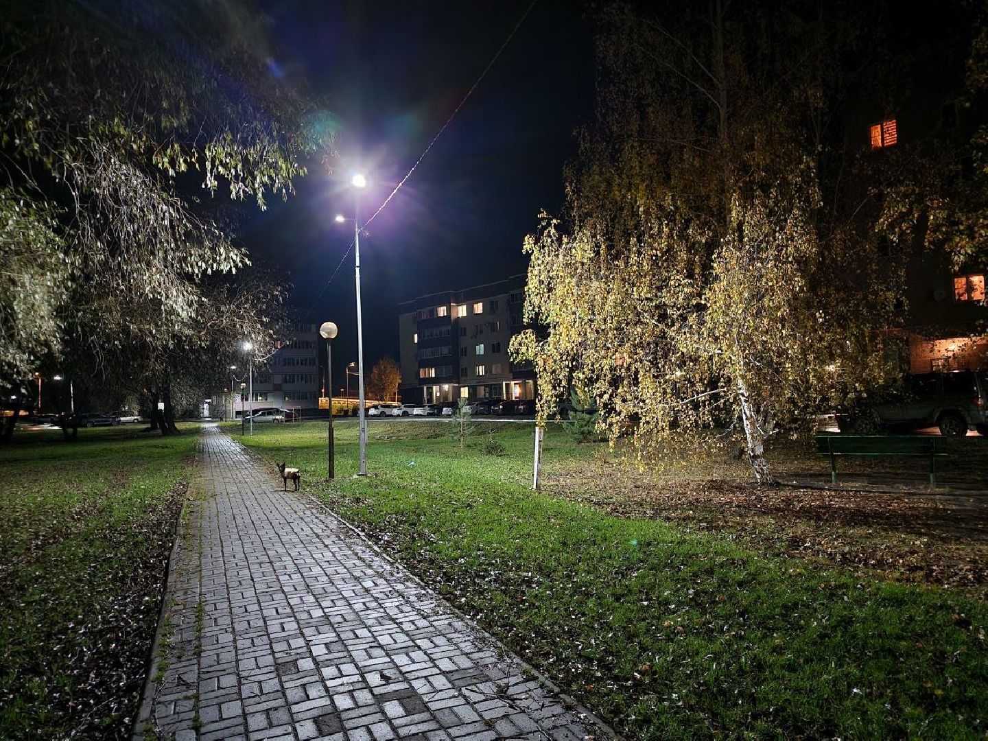 Город