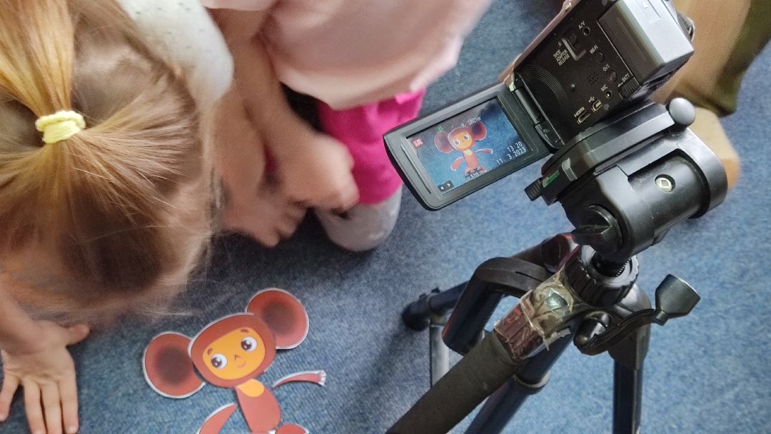 образование