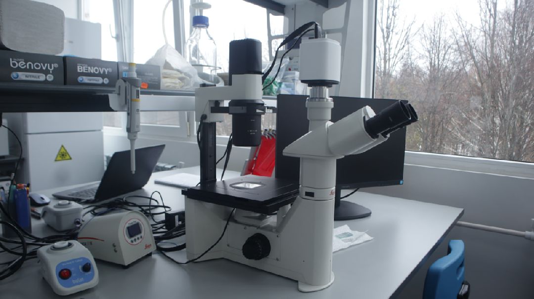 импортозамещение