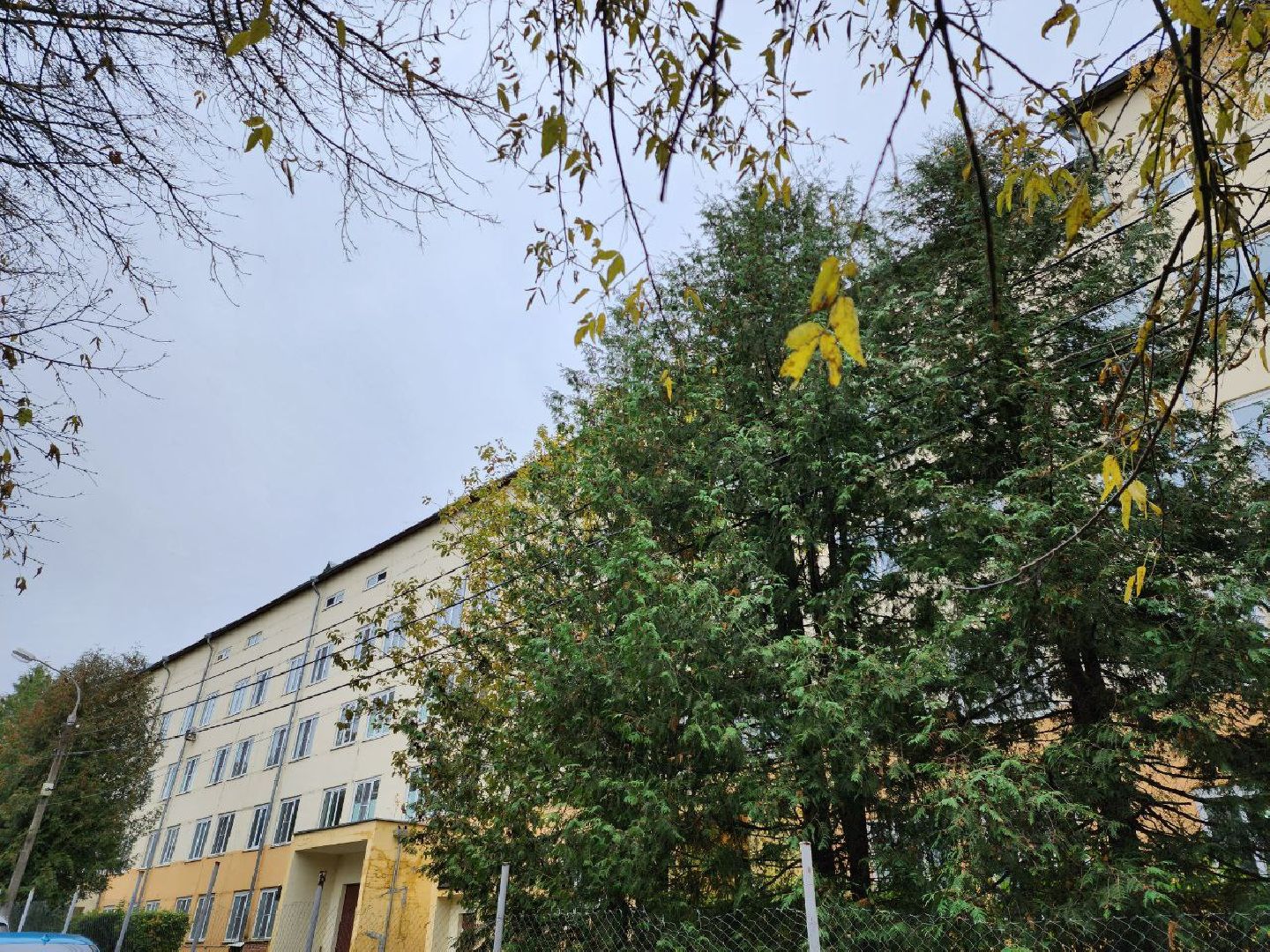 травма