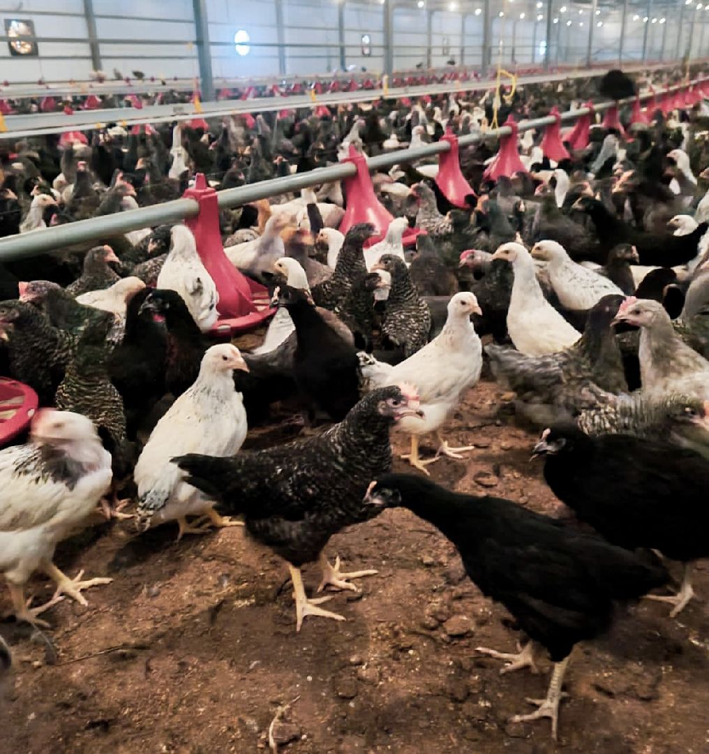 производство