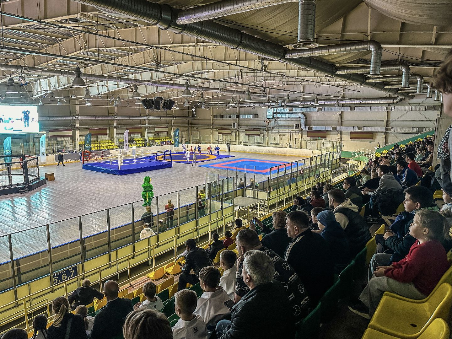 единоборства