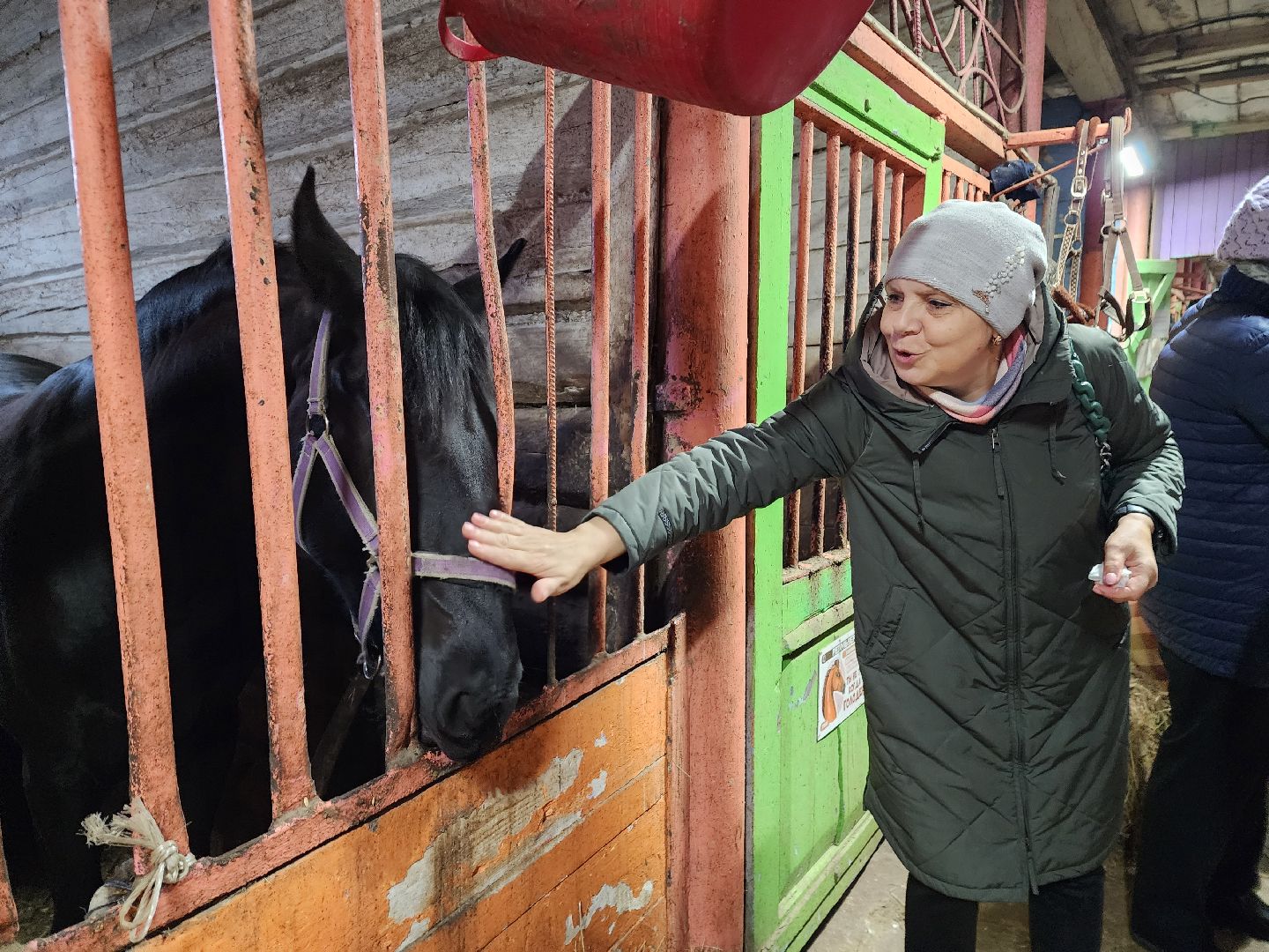 активное долголетие