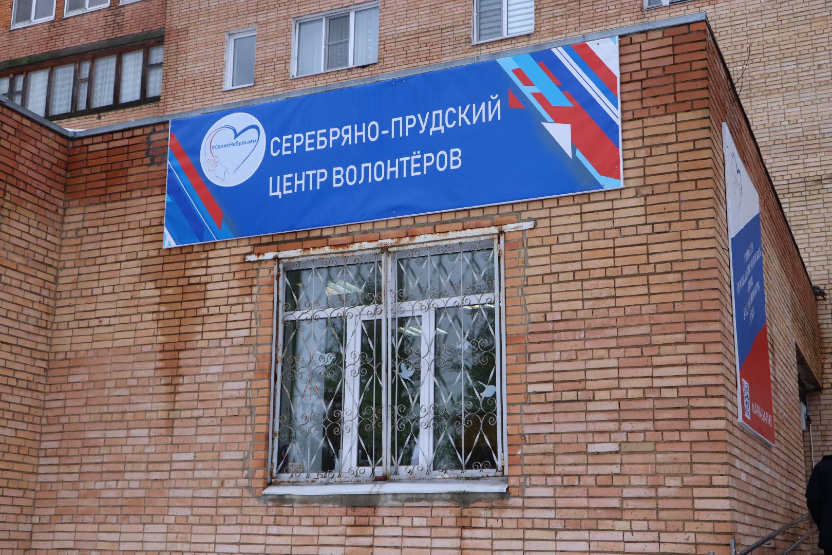 оса