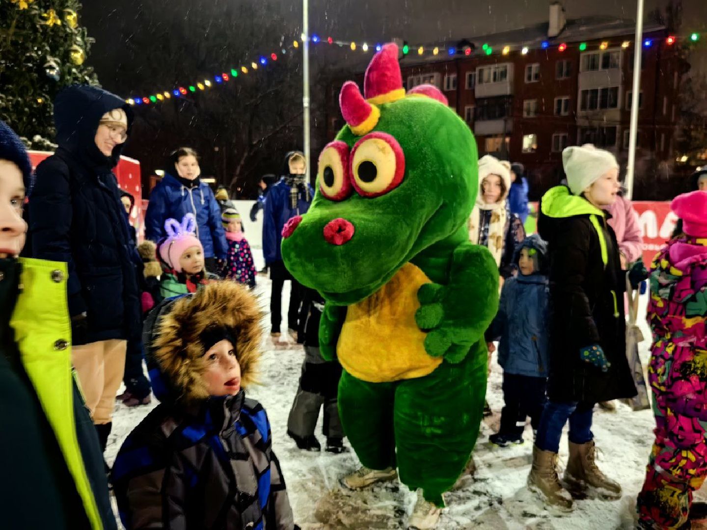 зимний се