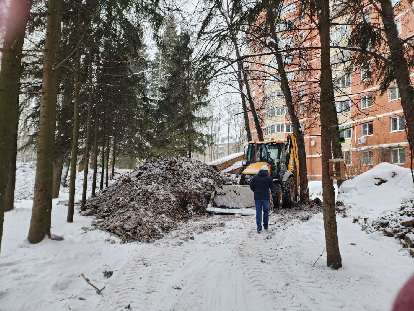 солнечногорск
