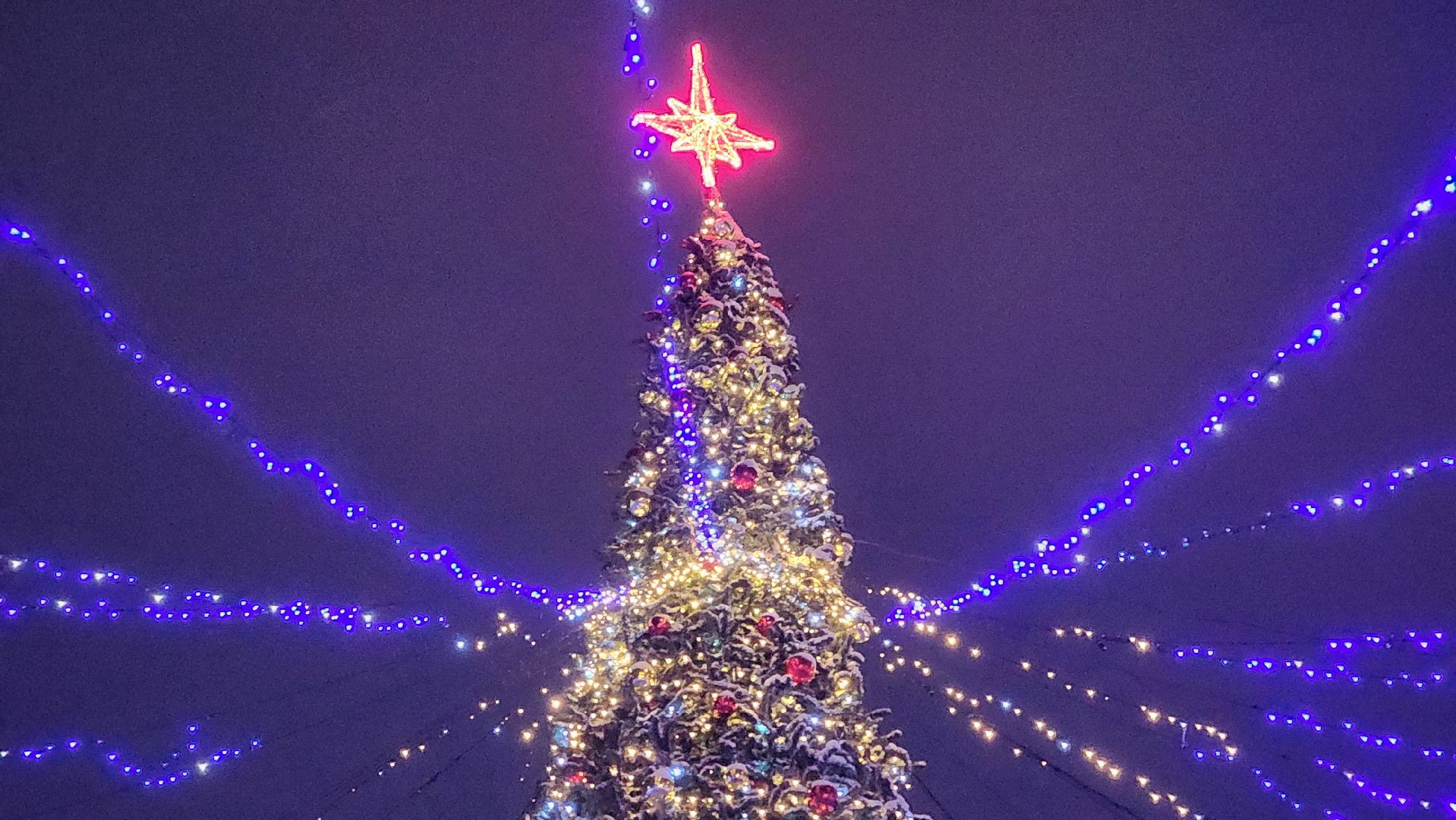 каток