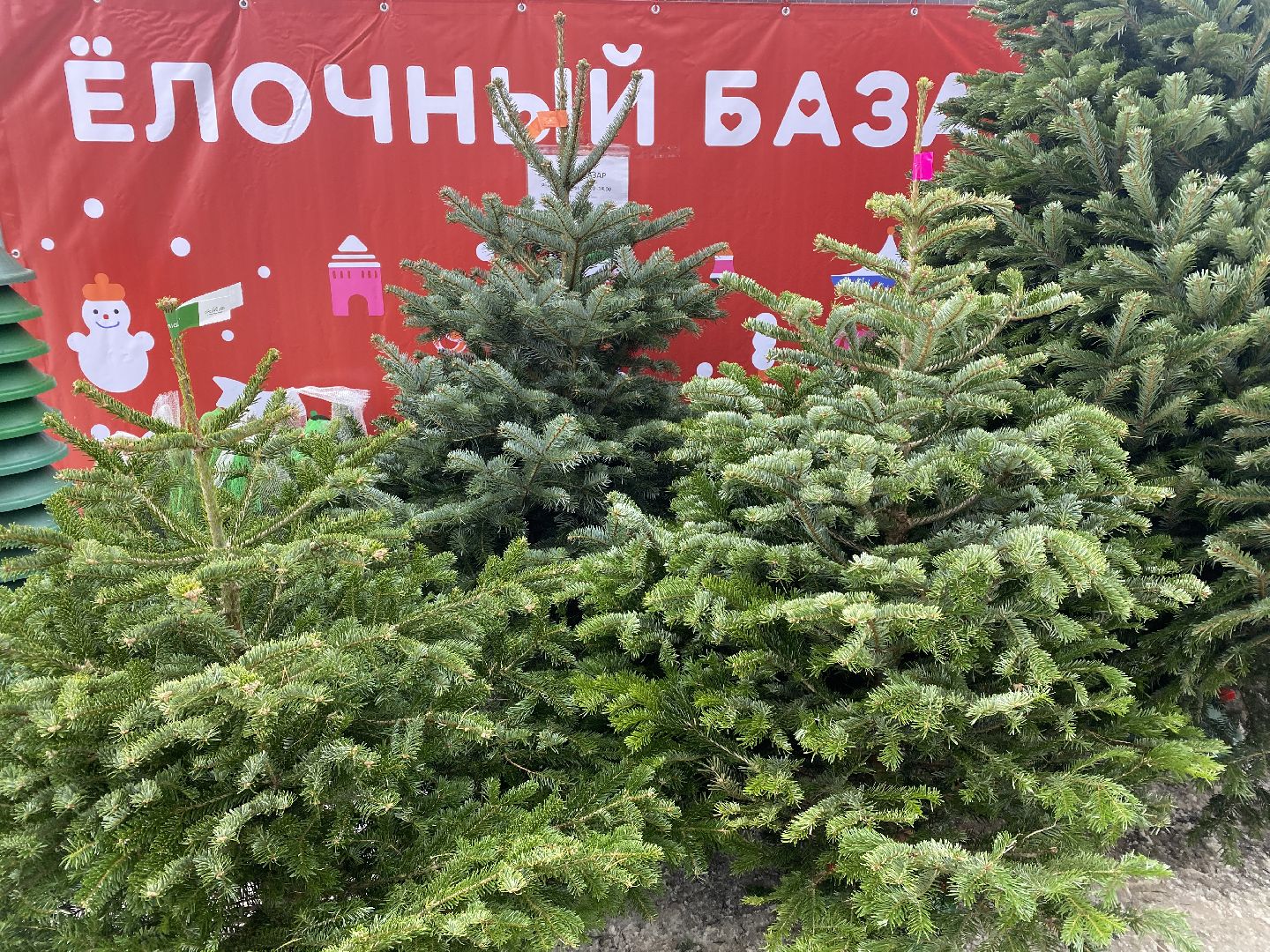 елочный базар