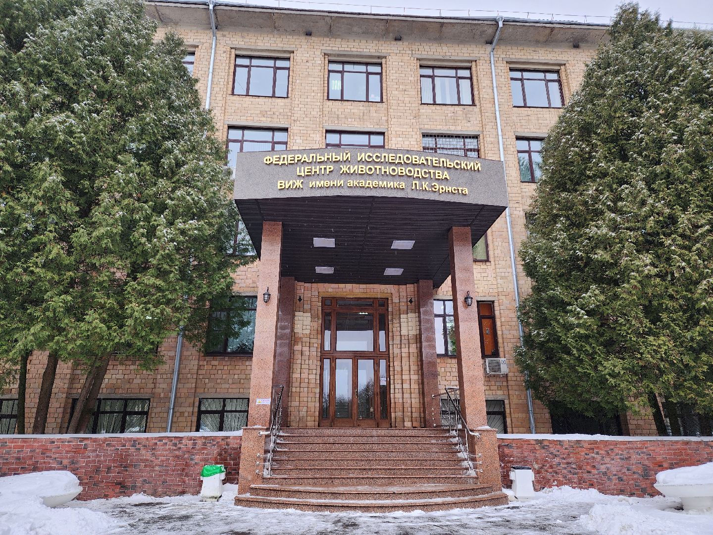 Рыбы